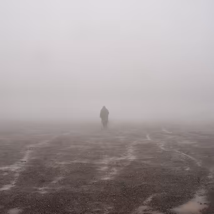 Like a Cloud Travelling Through Fog