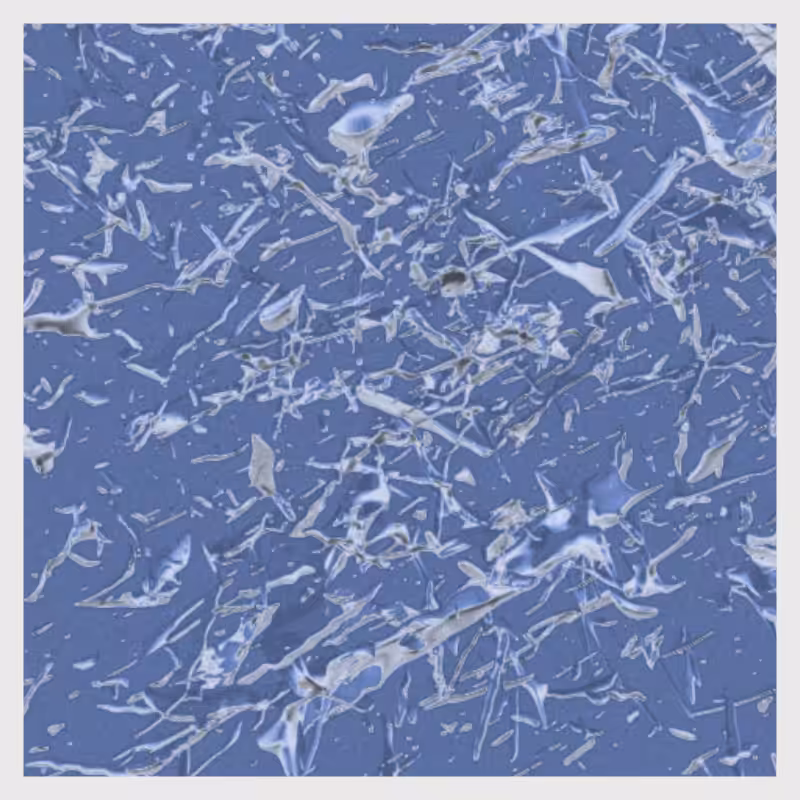 Dynamical System #5