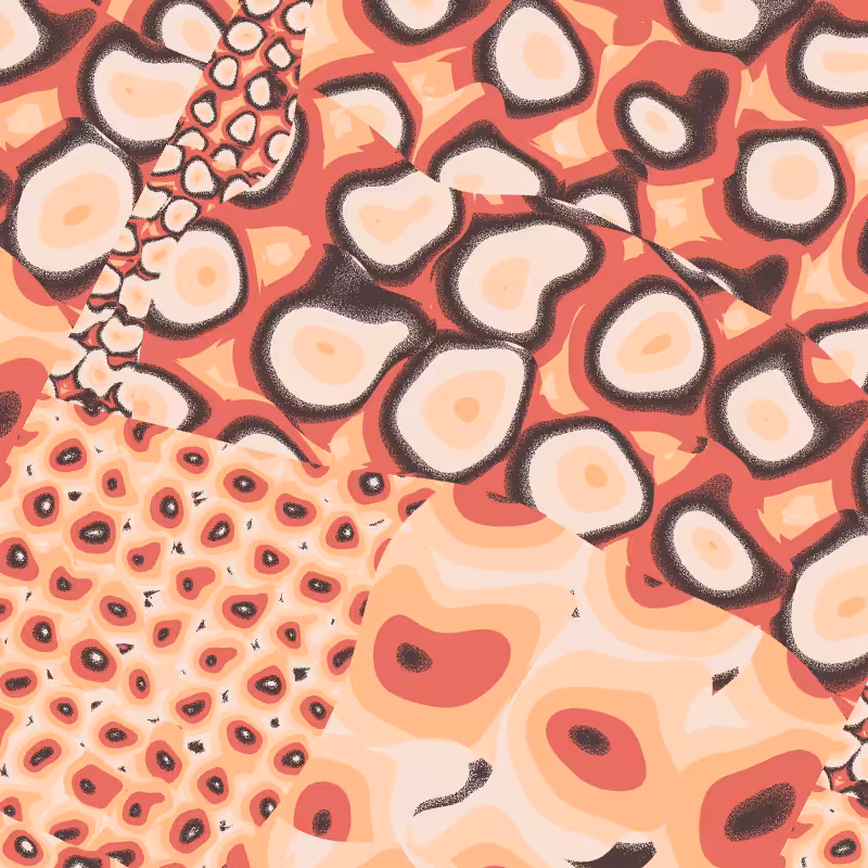 Cellulae #3