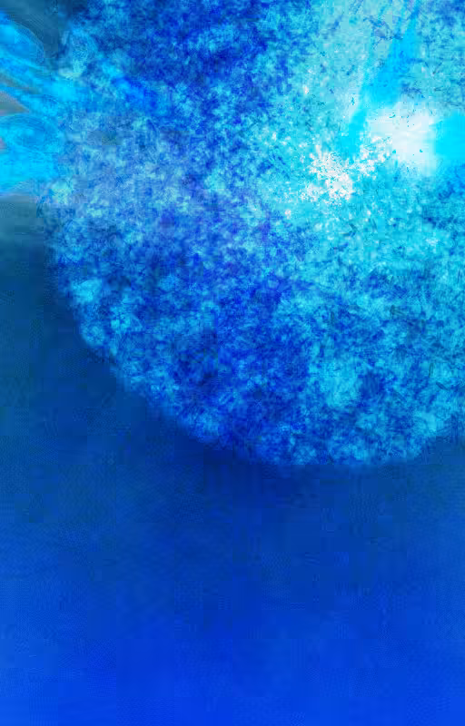 Crescendo #13
