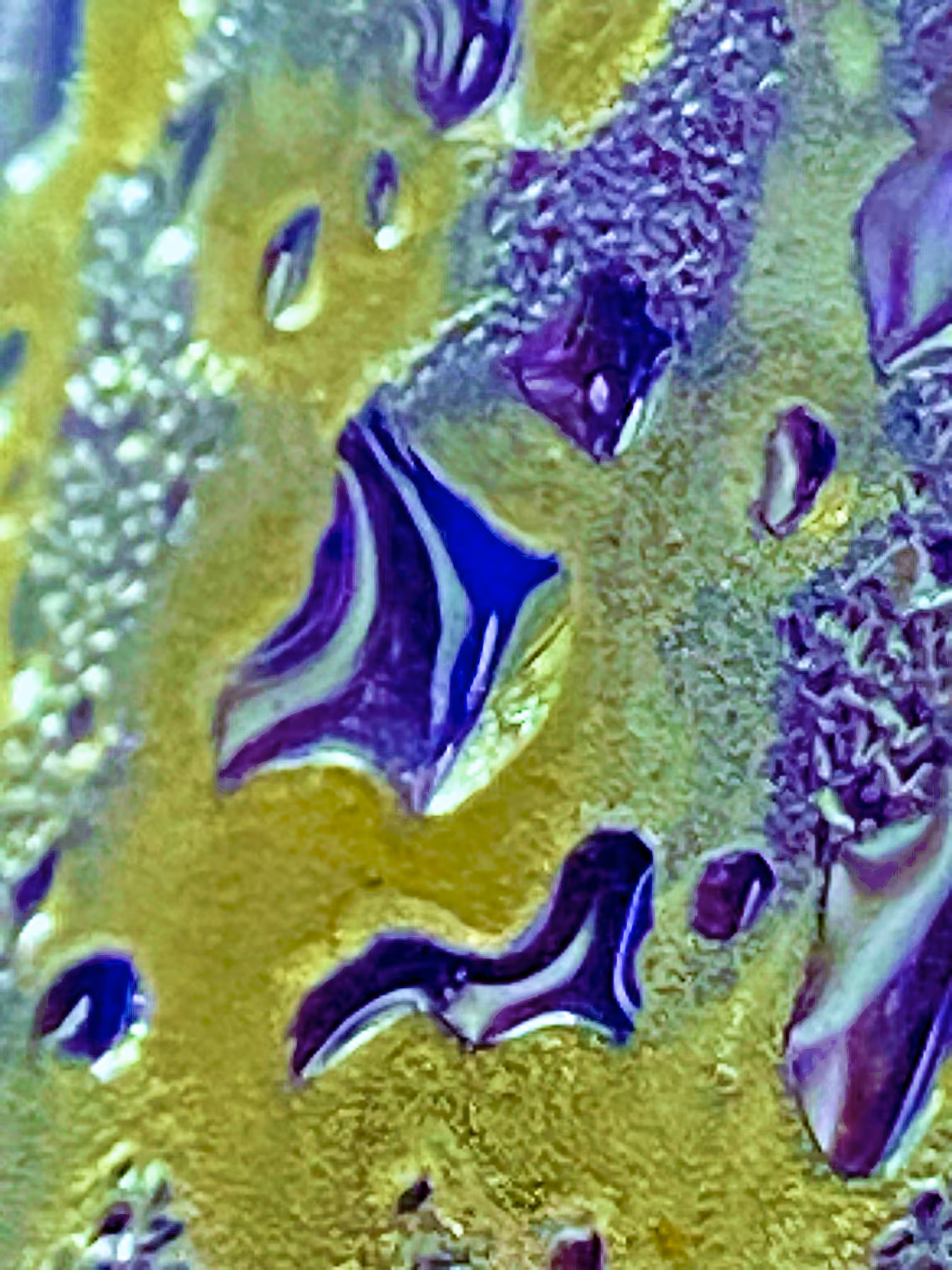 As We Bath in Tethys Frozen Tears