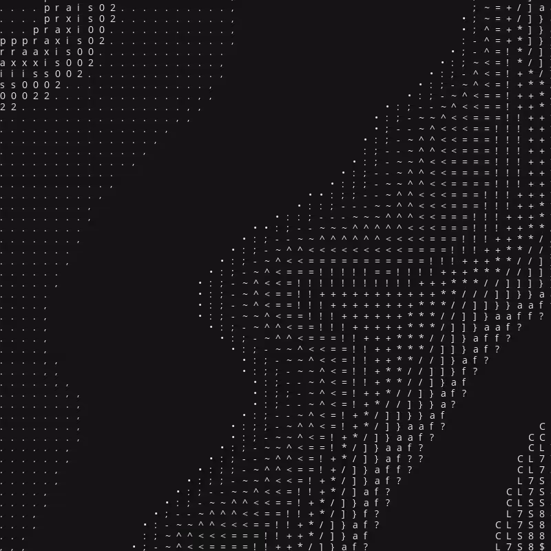 Praxis 002 #13