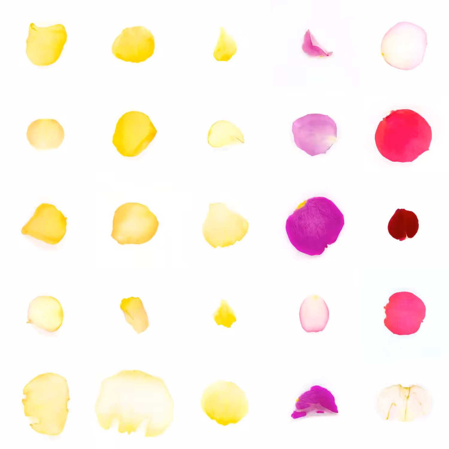 Infinite Petals 5x5#20289