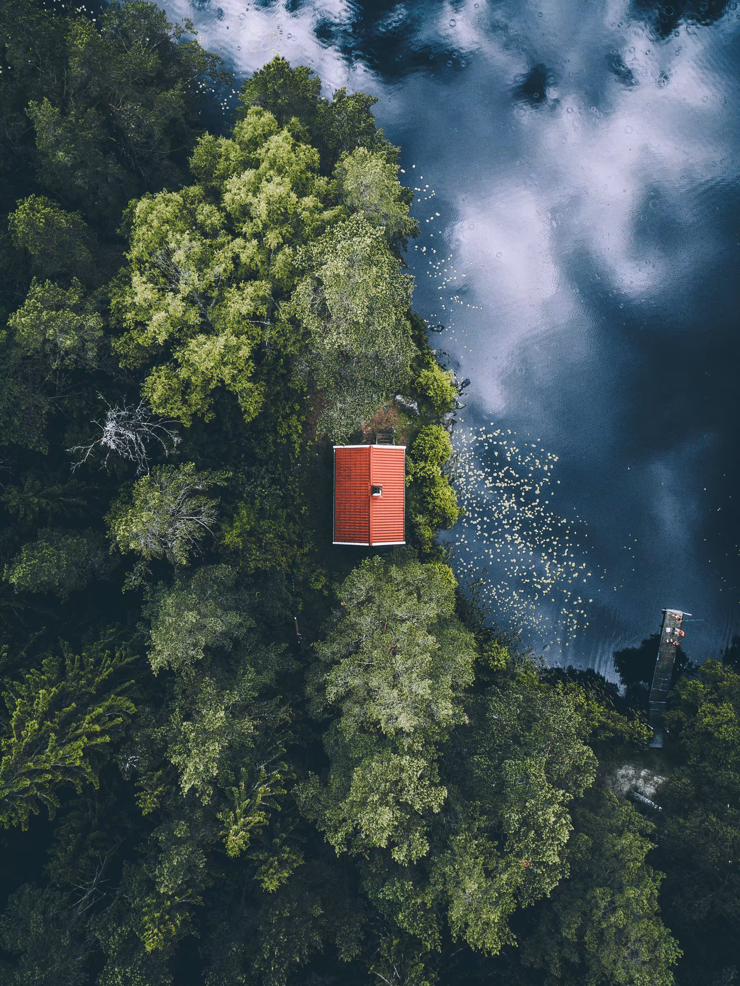 A Decade From Above #17 - A Cabin Dream
