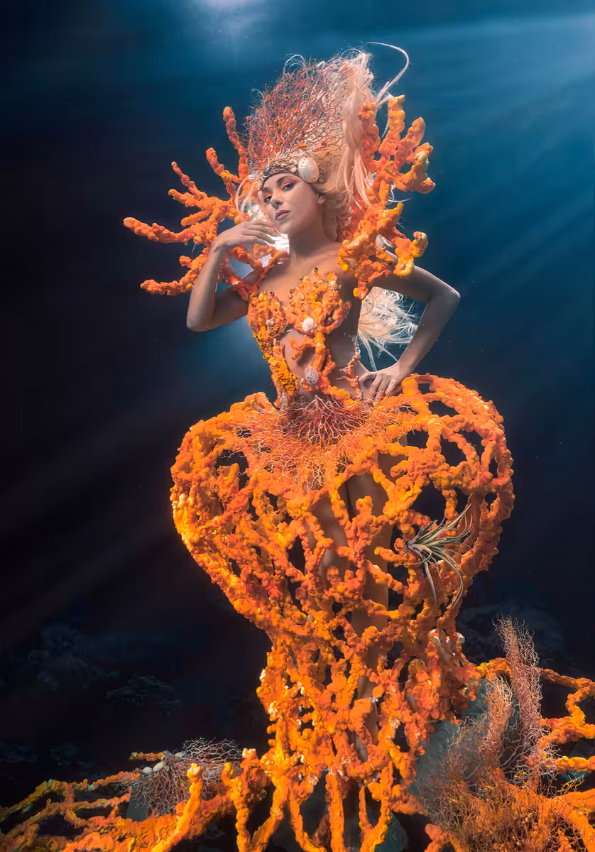 Royalty of the Reef