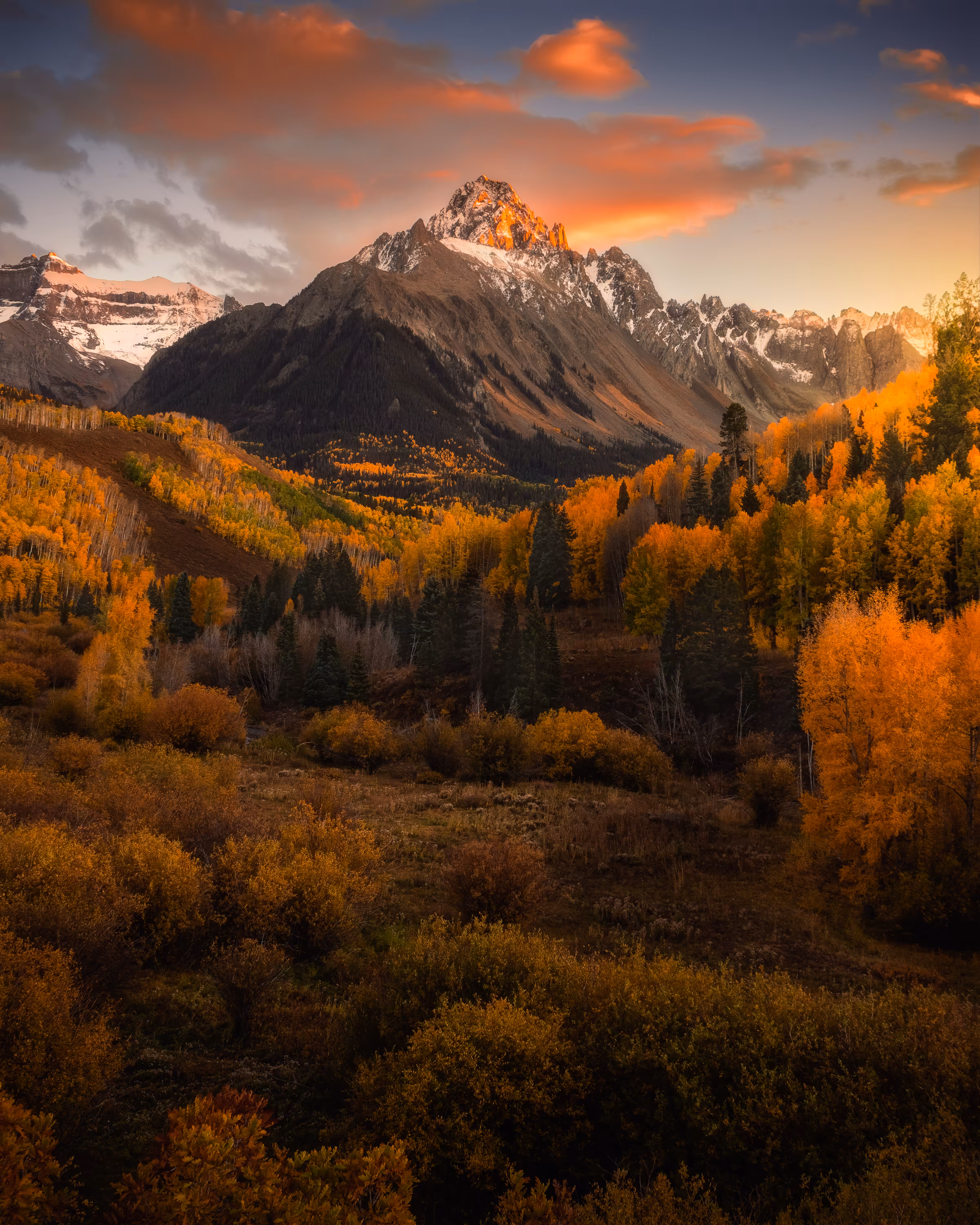 Hills of Gold