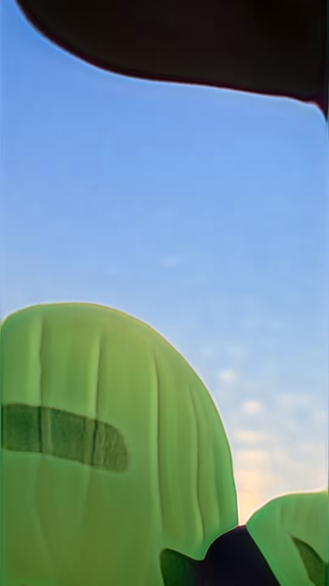 Balloons In The Sky by Bård & Jennifer Ionson: Balloons In The Sky — Unfolding Existence