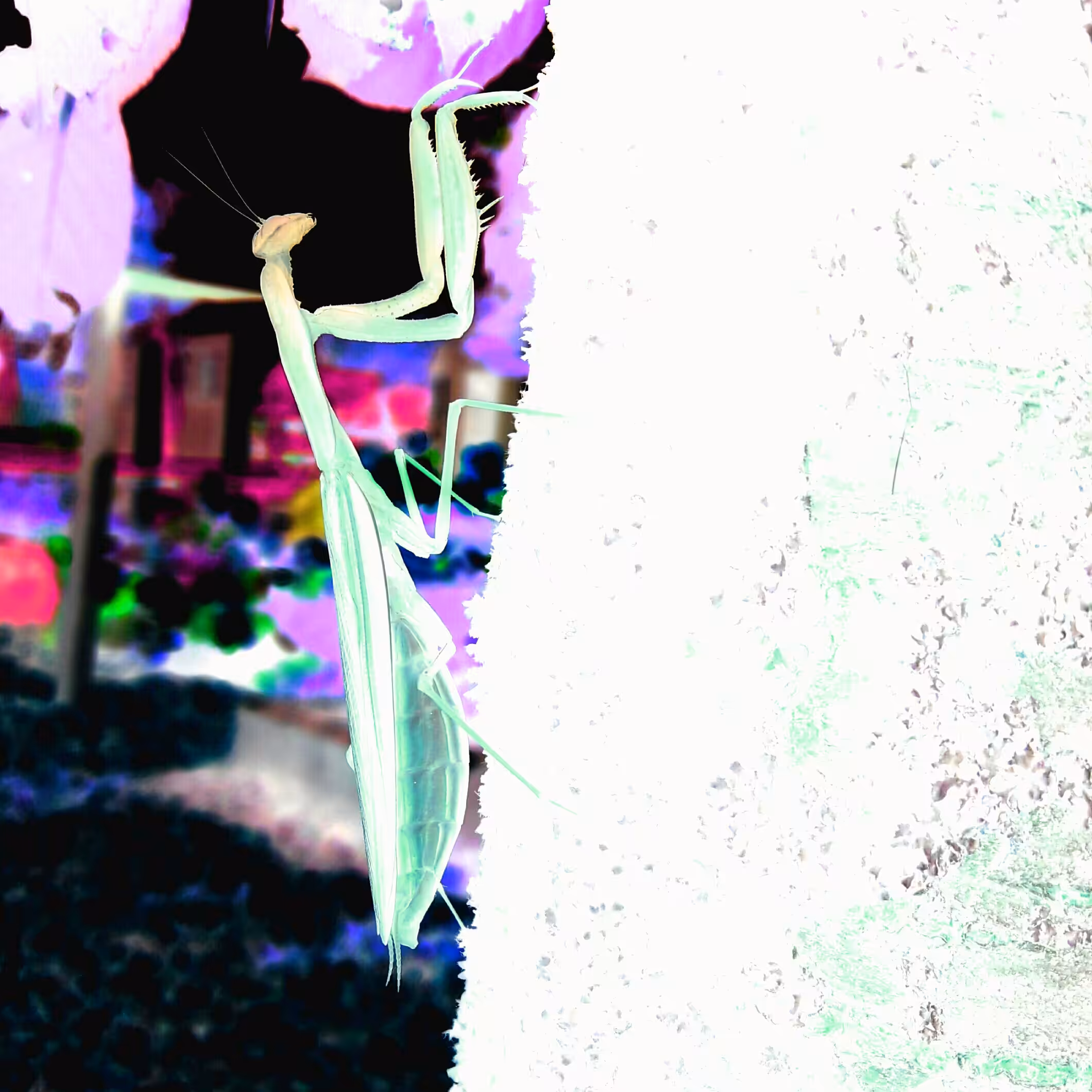 Trip 21