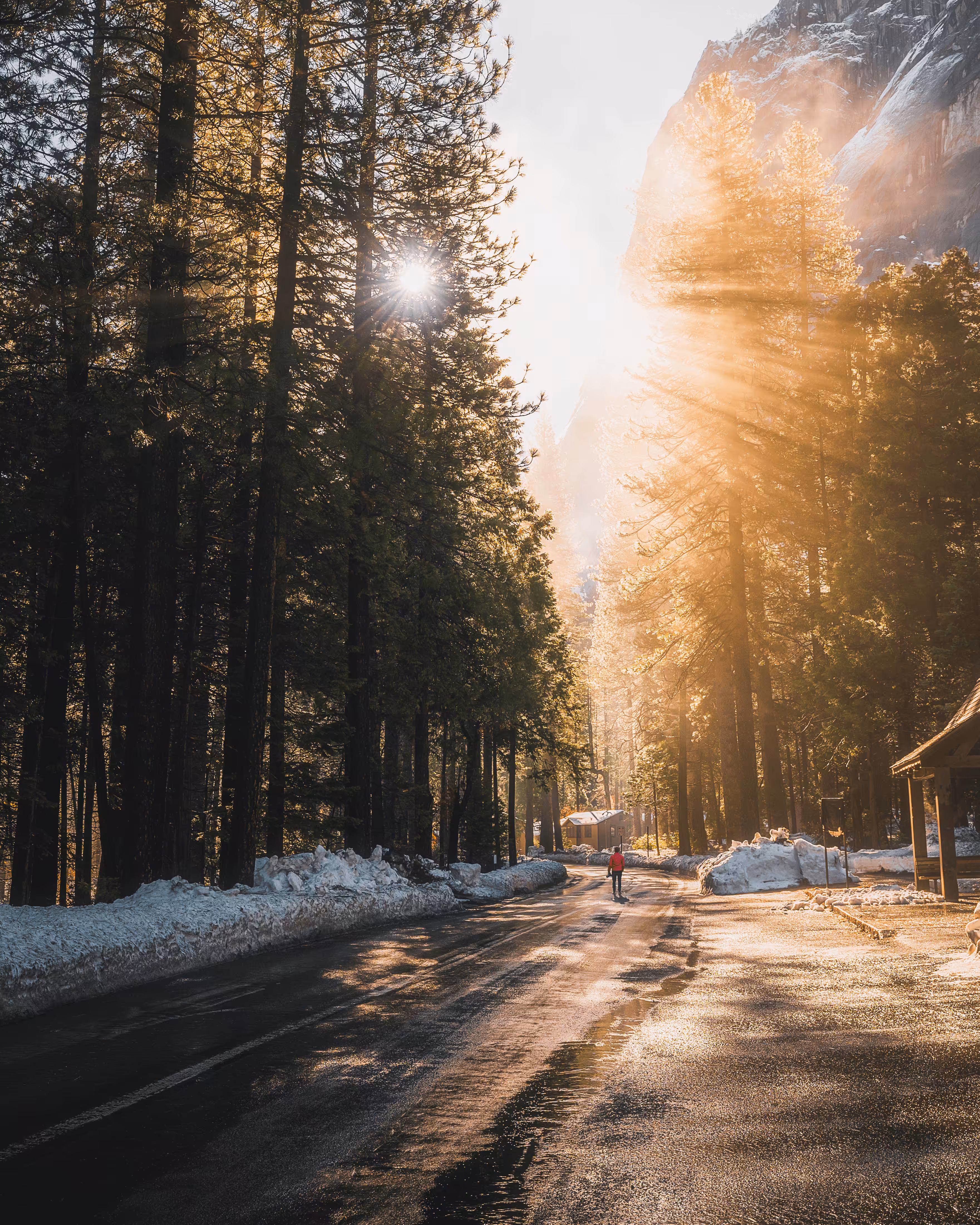 12. Morning Rays
