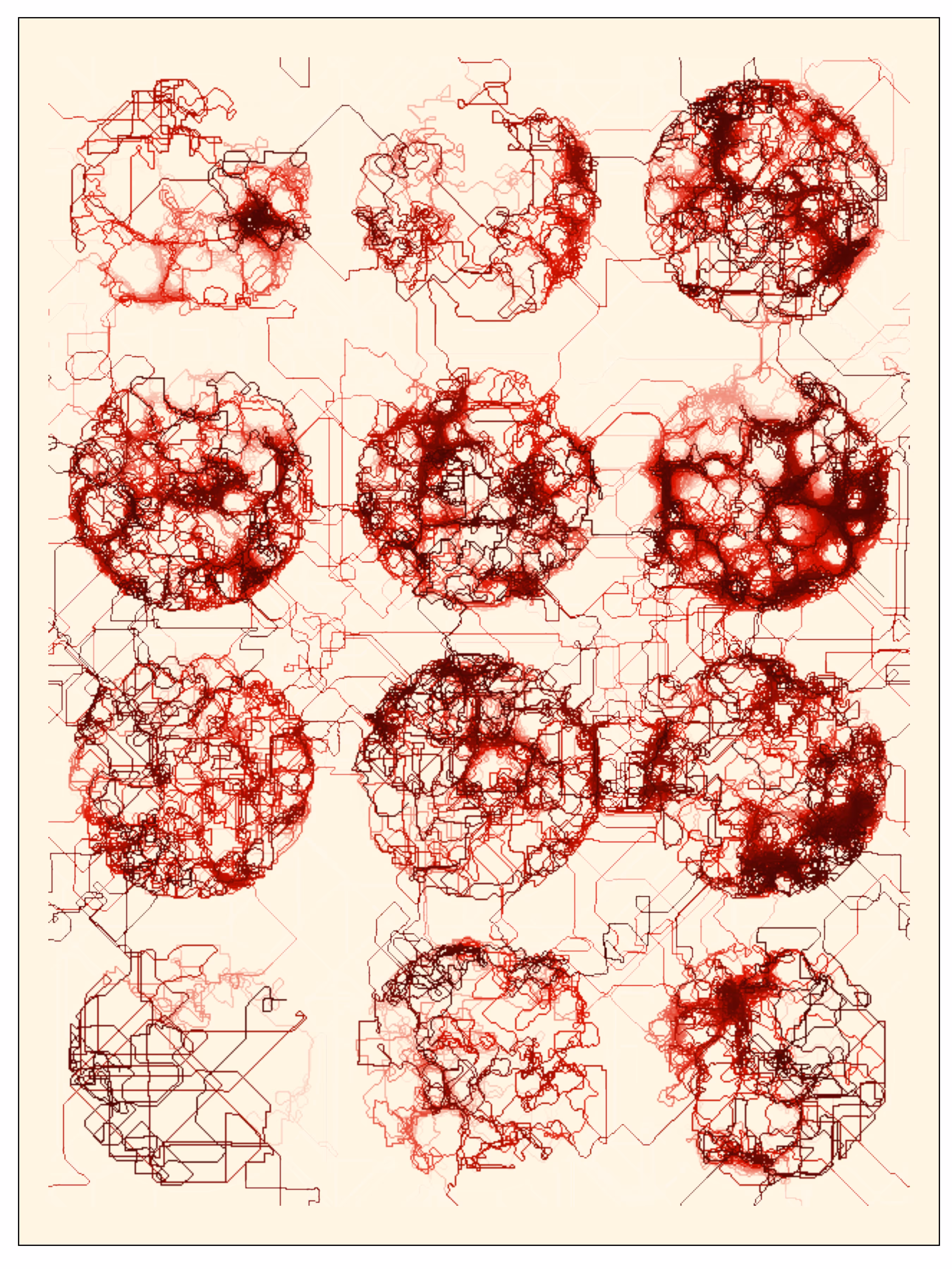 Shuxue: Invisibilia Filum ii
