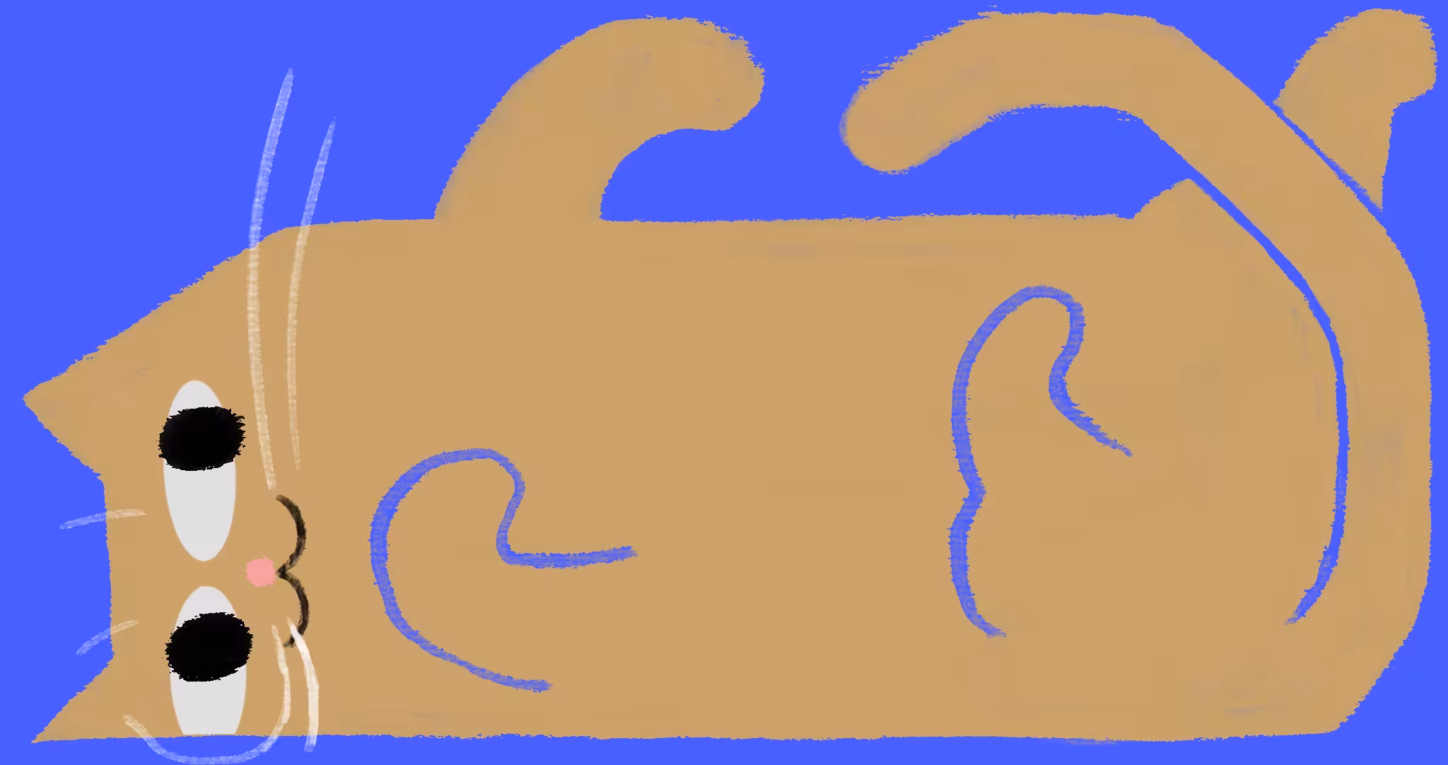 Box Cat - Mags