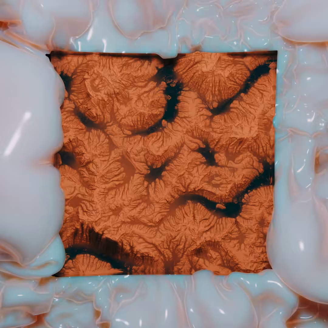 Natural Singularity