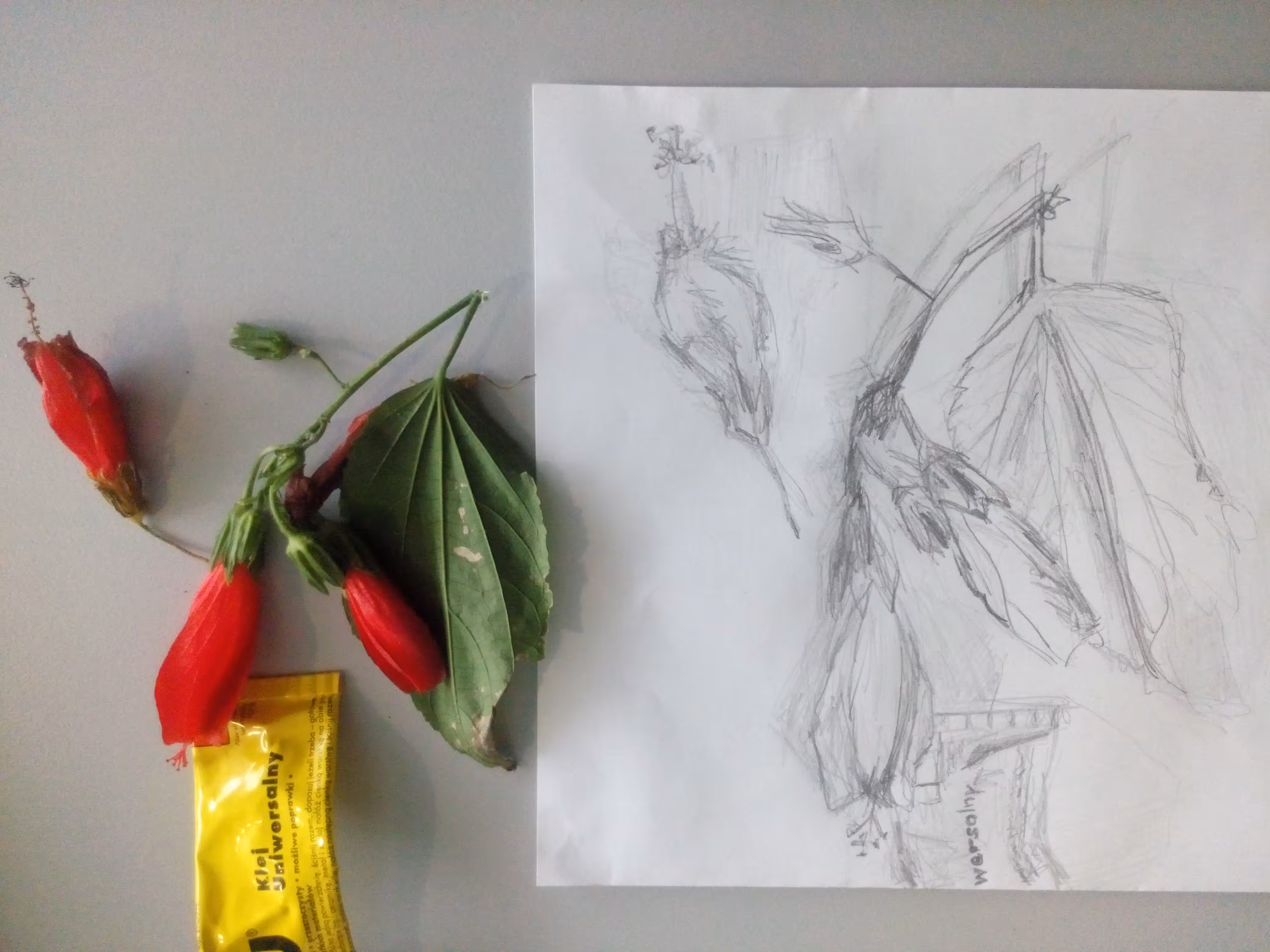 A 5 minutes pencil sketch 
