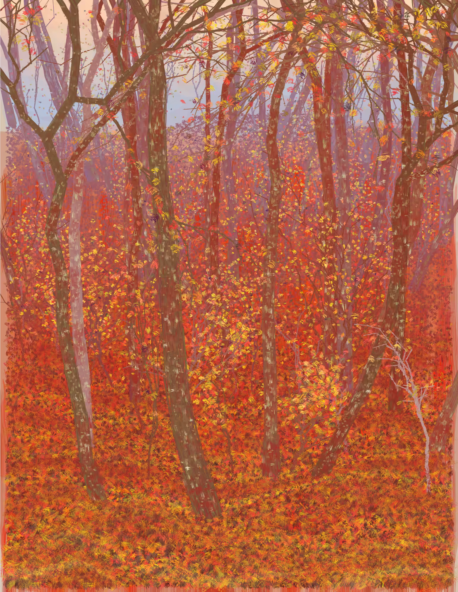 Deep Forest #44