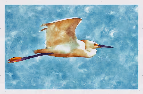 Watercolored 072