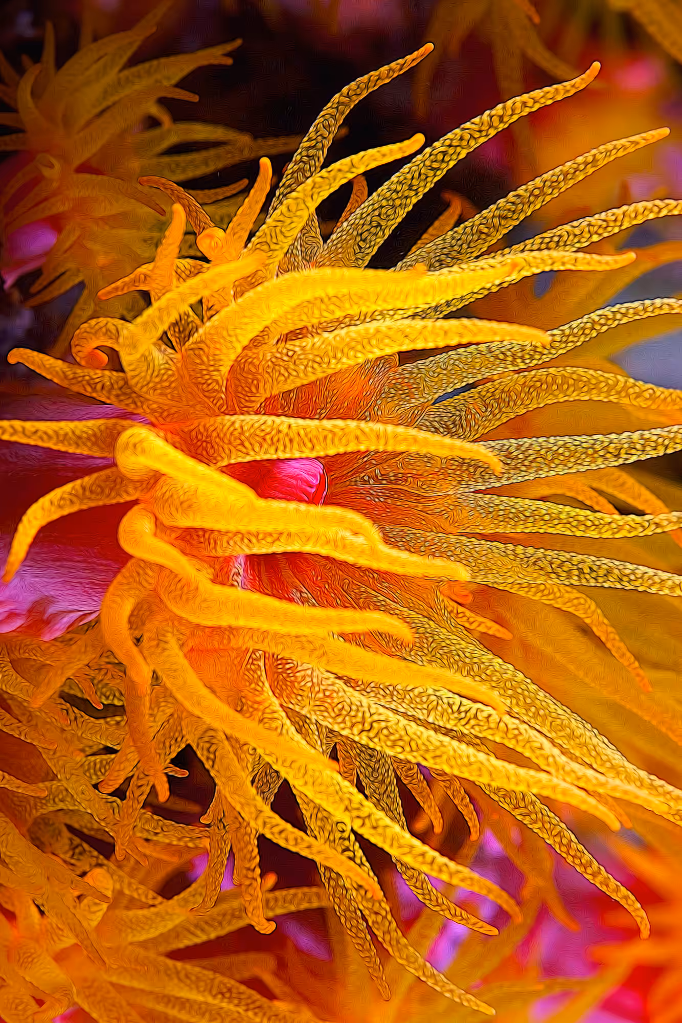 Coral Bloom Art Edit
