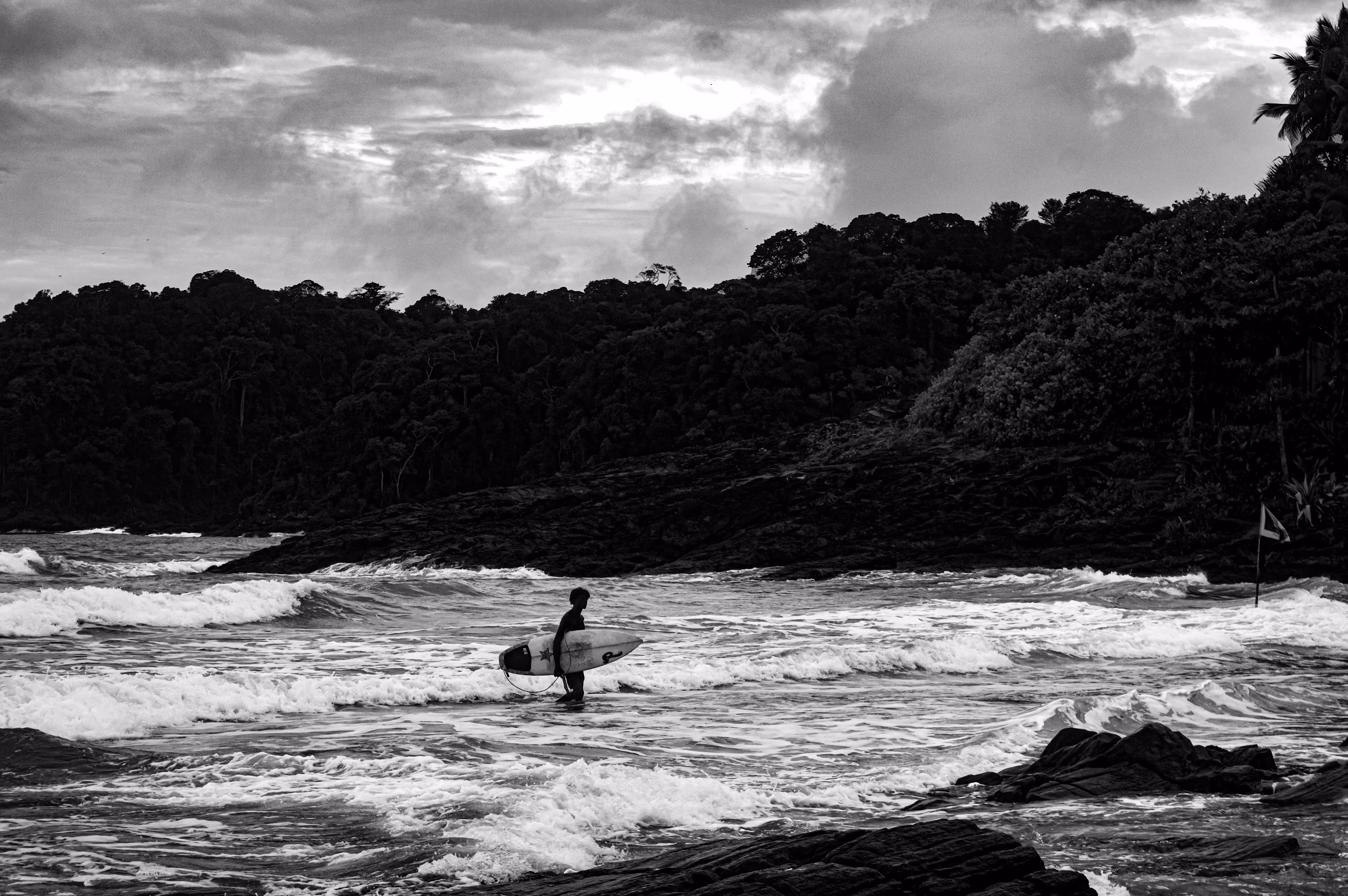 tropical surfer