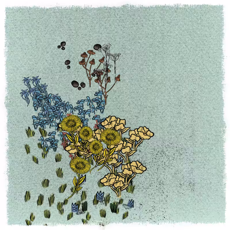 Gardens  #96