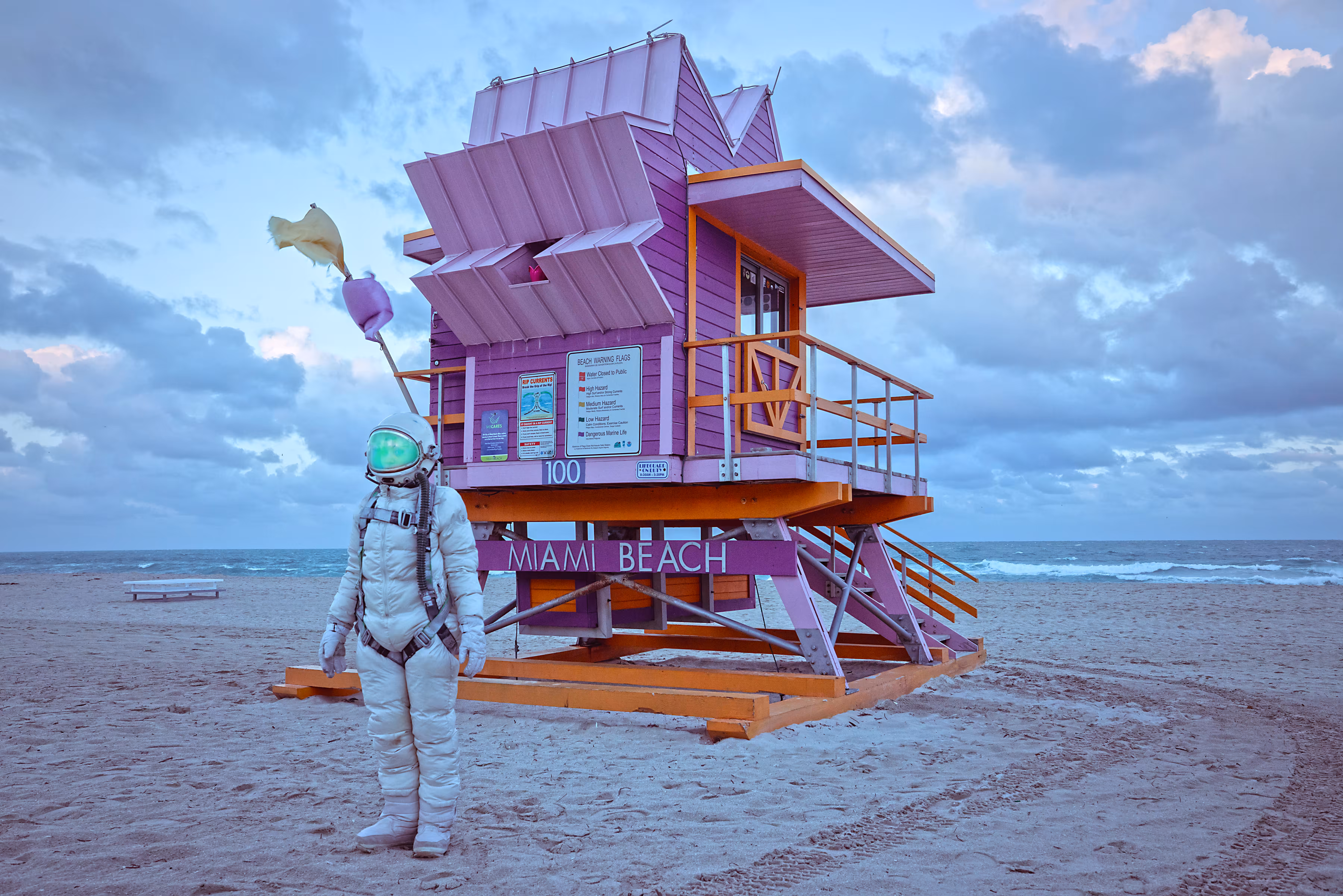 Miami Beach - Purple