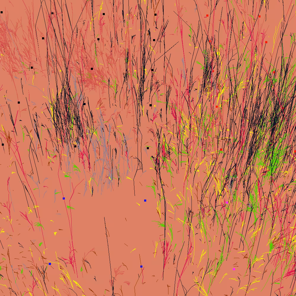 Infinite Garden: 13626 Flowers