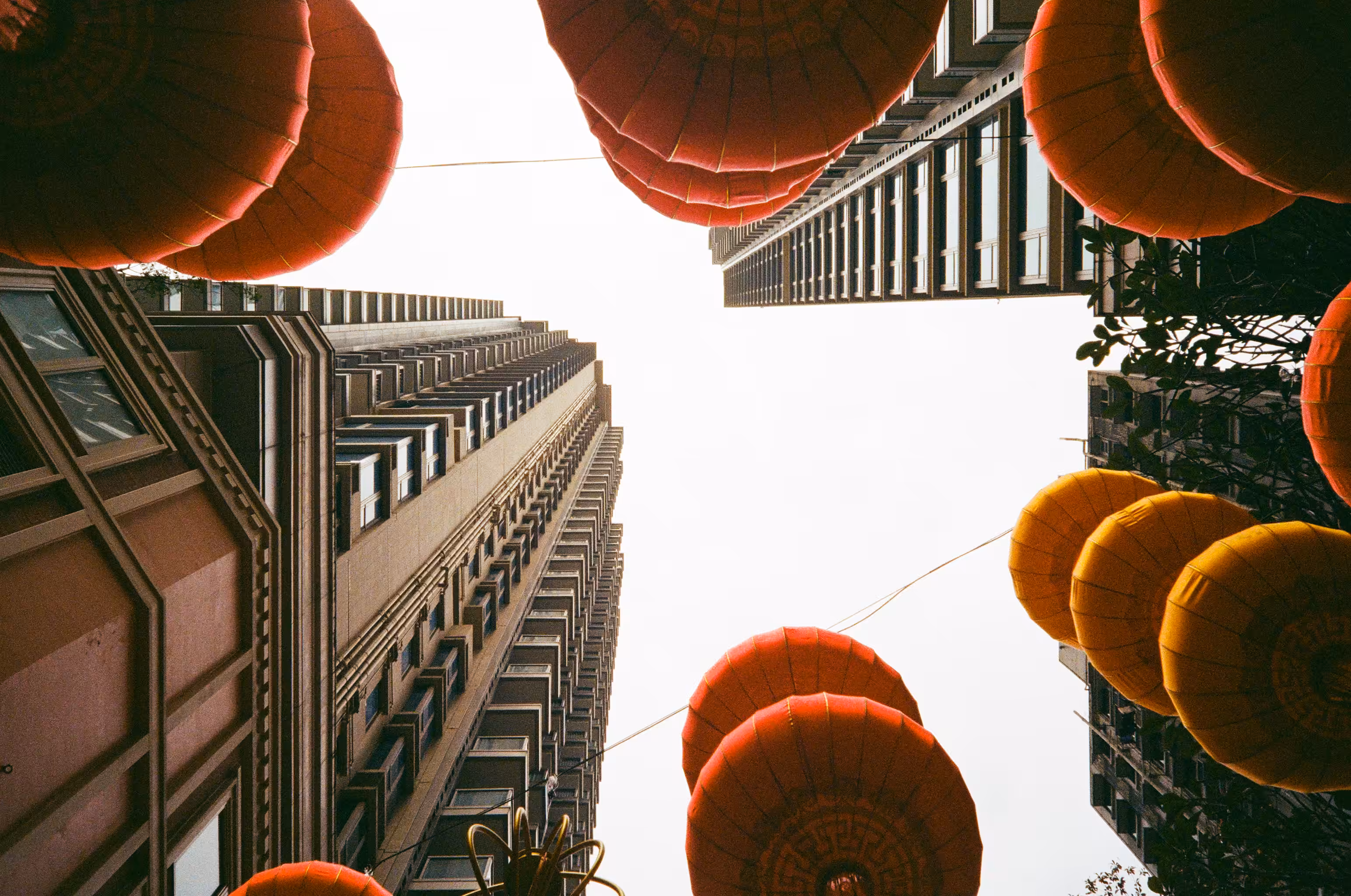 Kung Hei Fat Choy 
