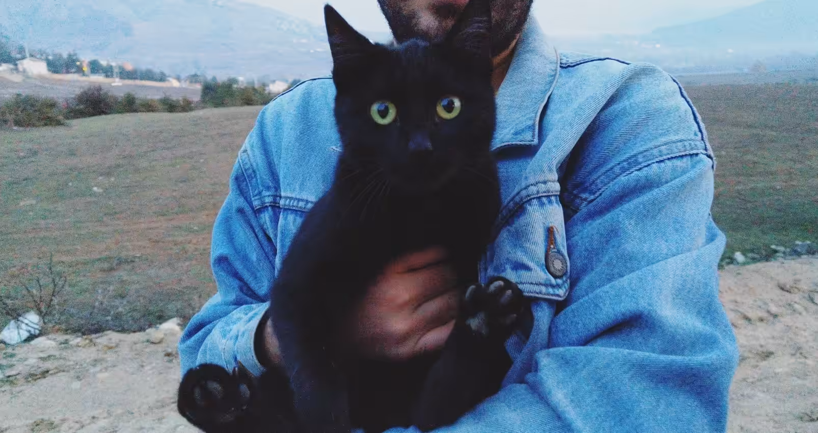 Black cat!