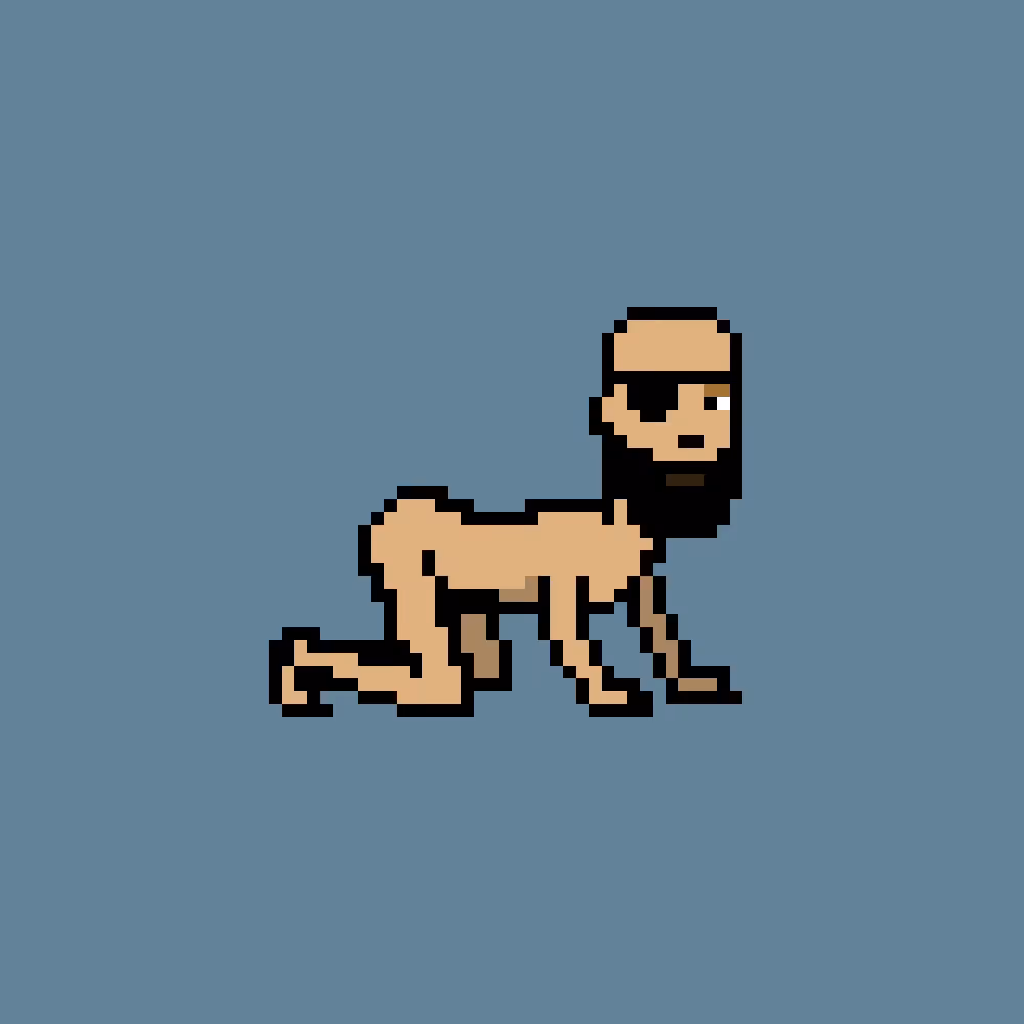 CrawlingPunk #9621