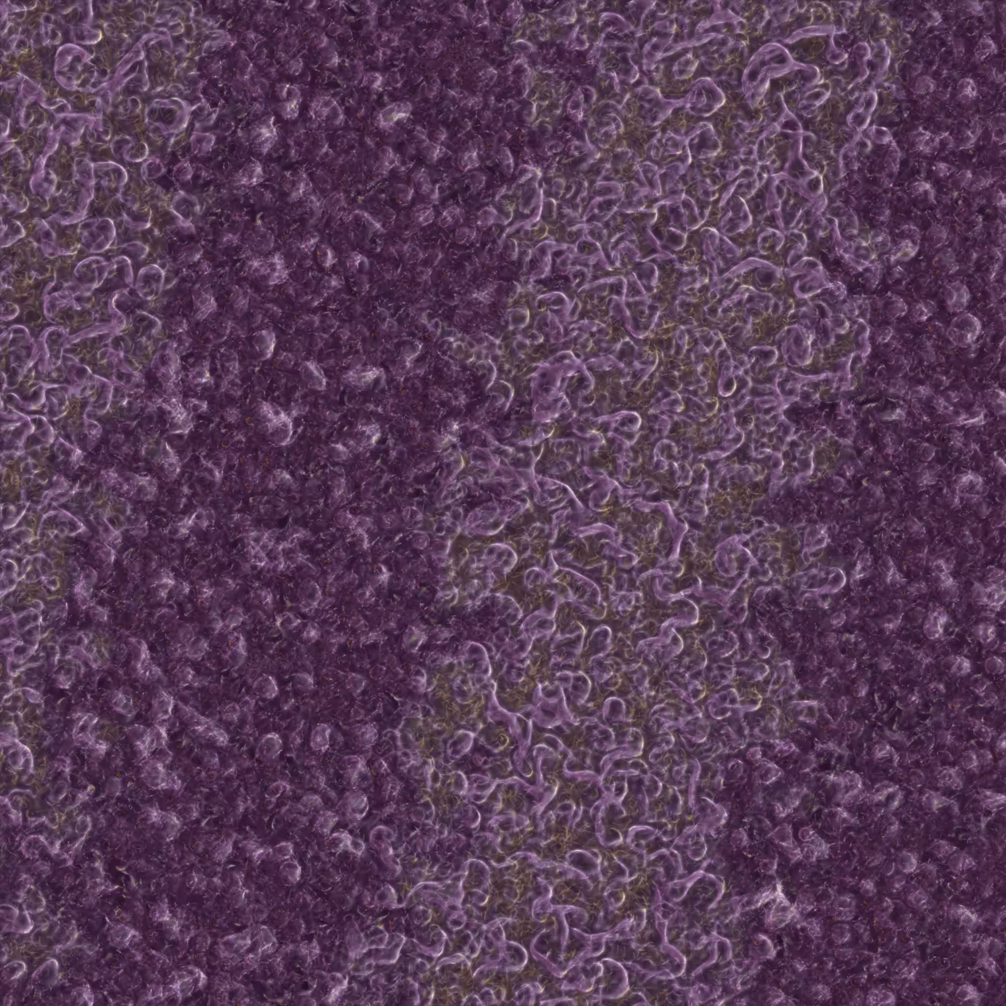 saprophyte #108