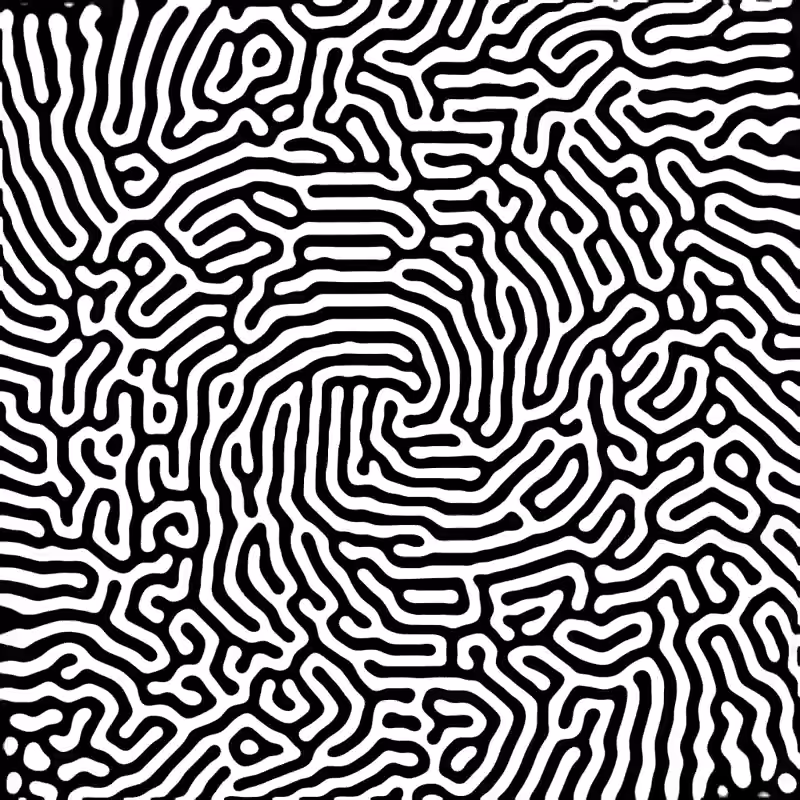 Turing Pattern