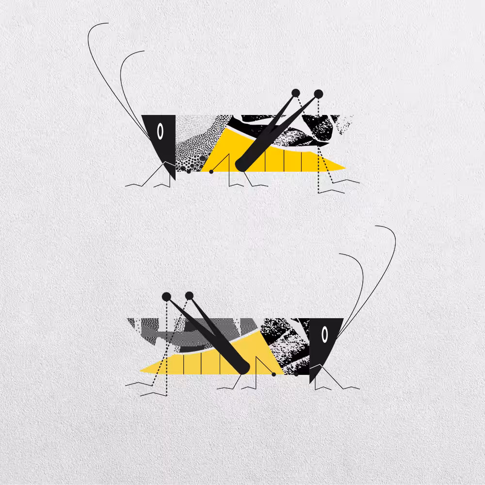 Grasshopper Abstraction #15