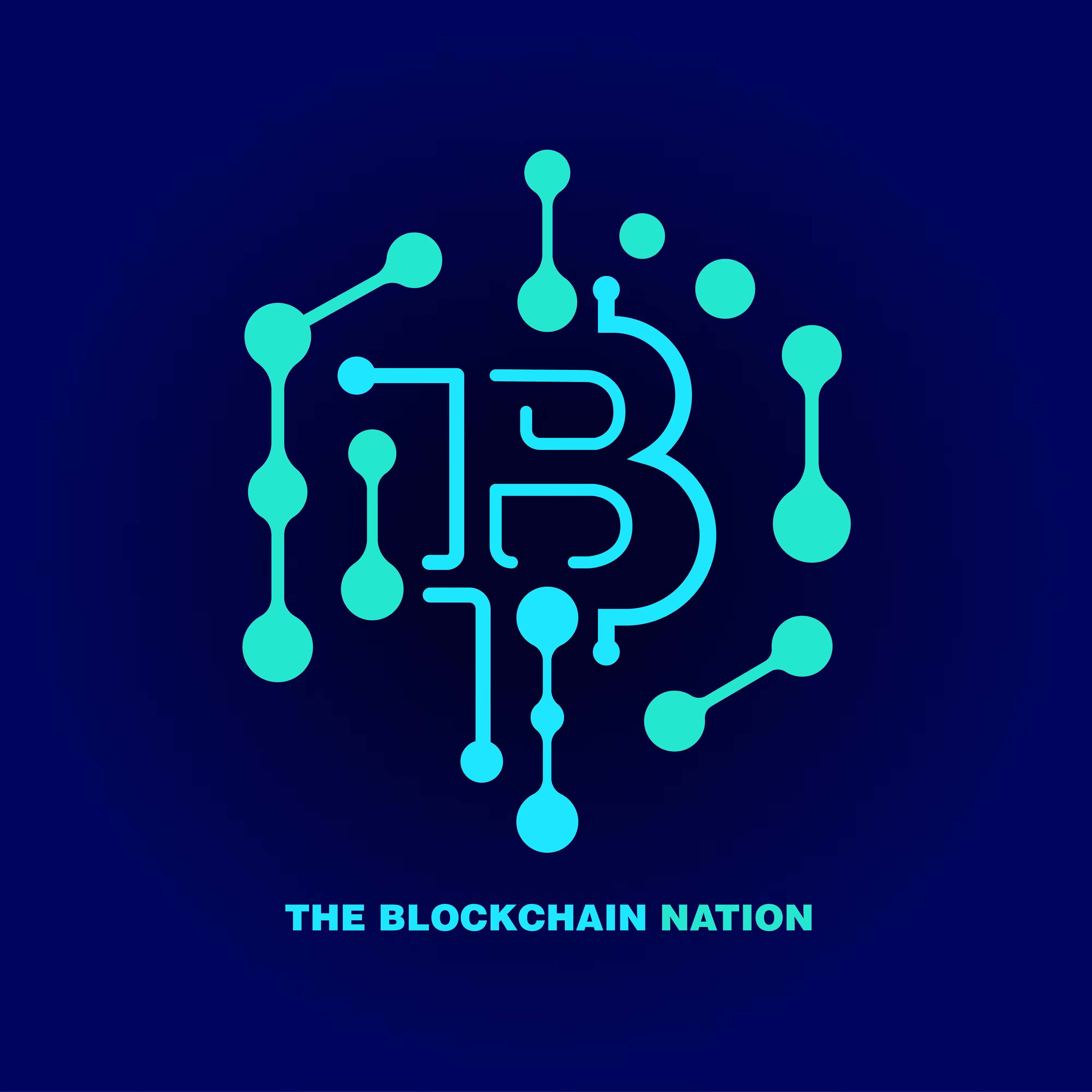 THE BLOCKCHAIN NATION LOGO DESIGN
