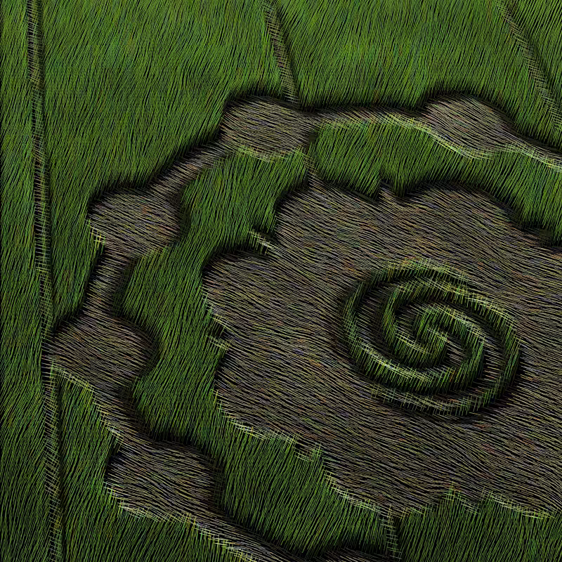 Crop Circles #25