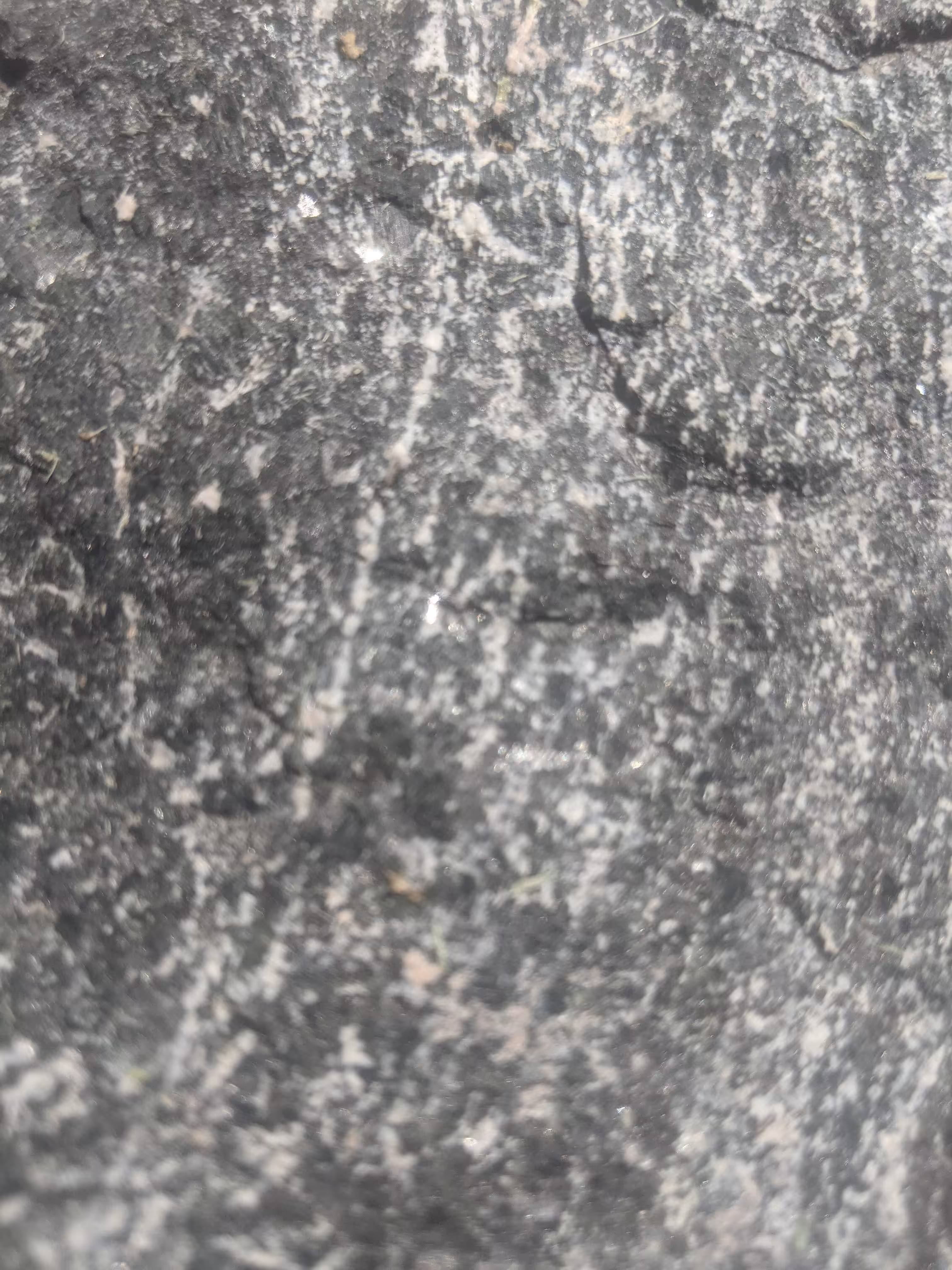 Texture
