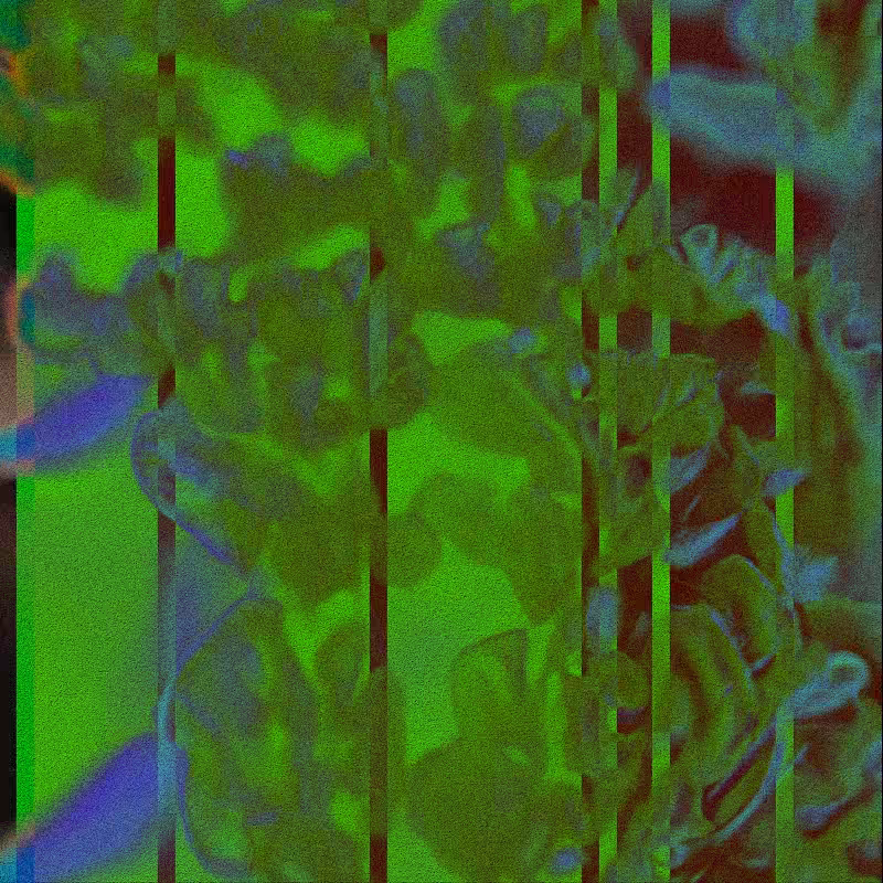 CLDCSMC #10