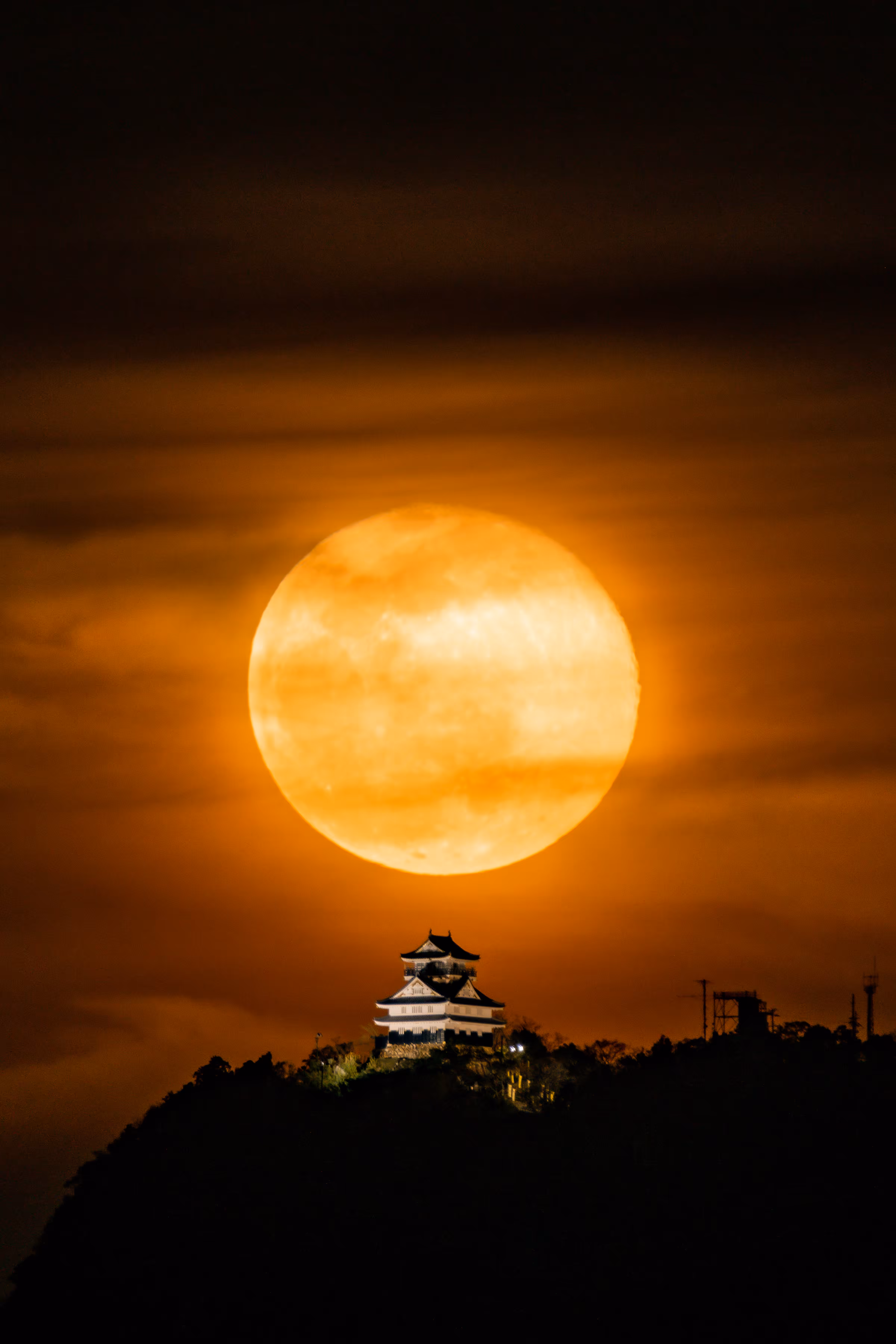 HINOMORU--日の丸🇯🇵