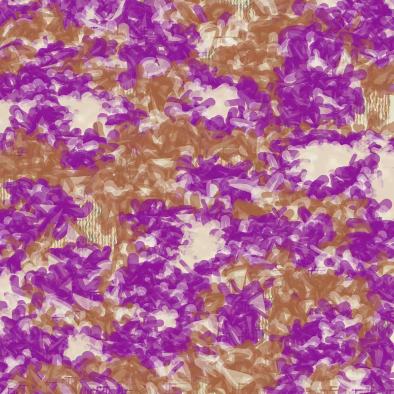 Petri 1500 #162