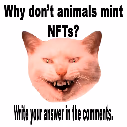 why