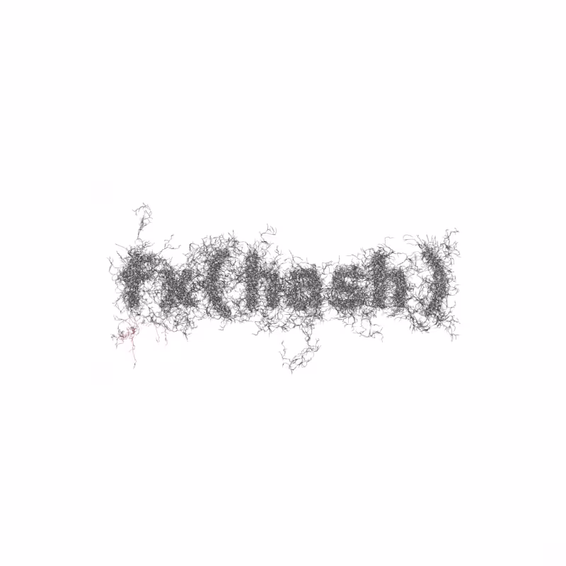 FXHASH Logo with Features #348
