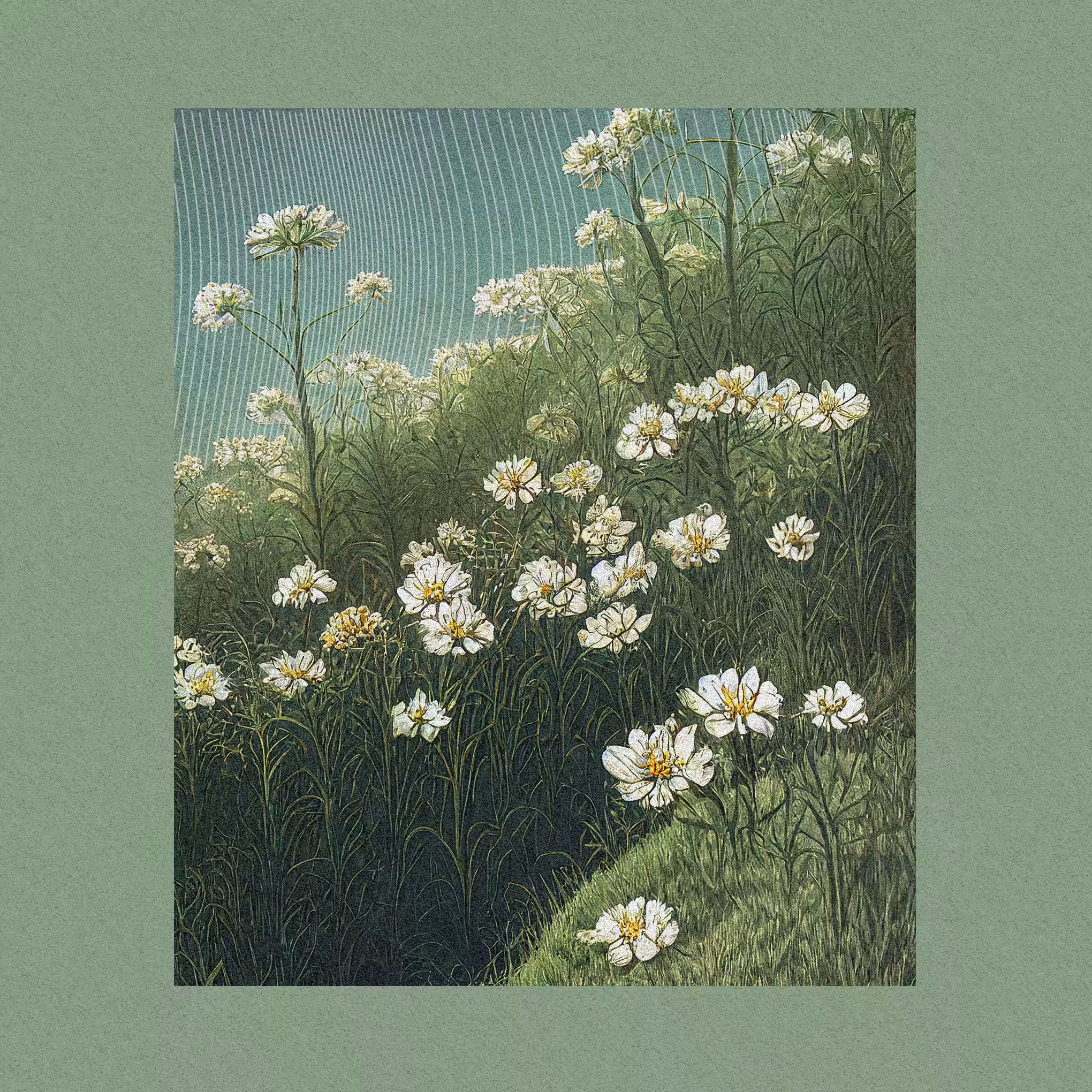 harmony · apetala1 #5