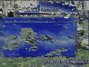 Panel