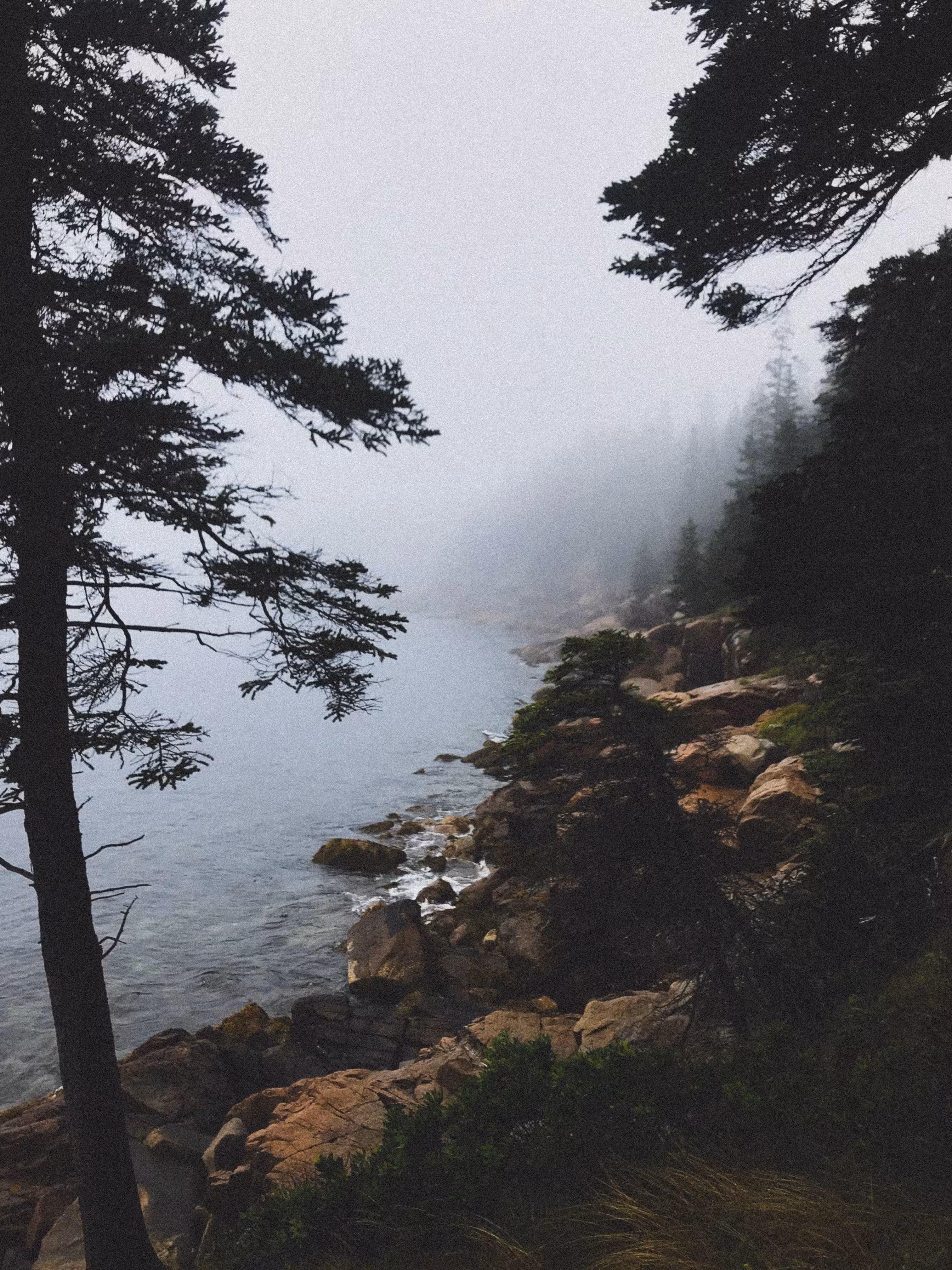 The Abyss