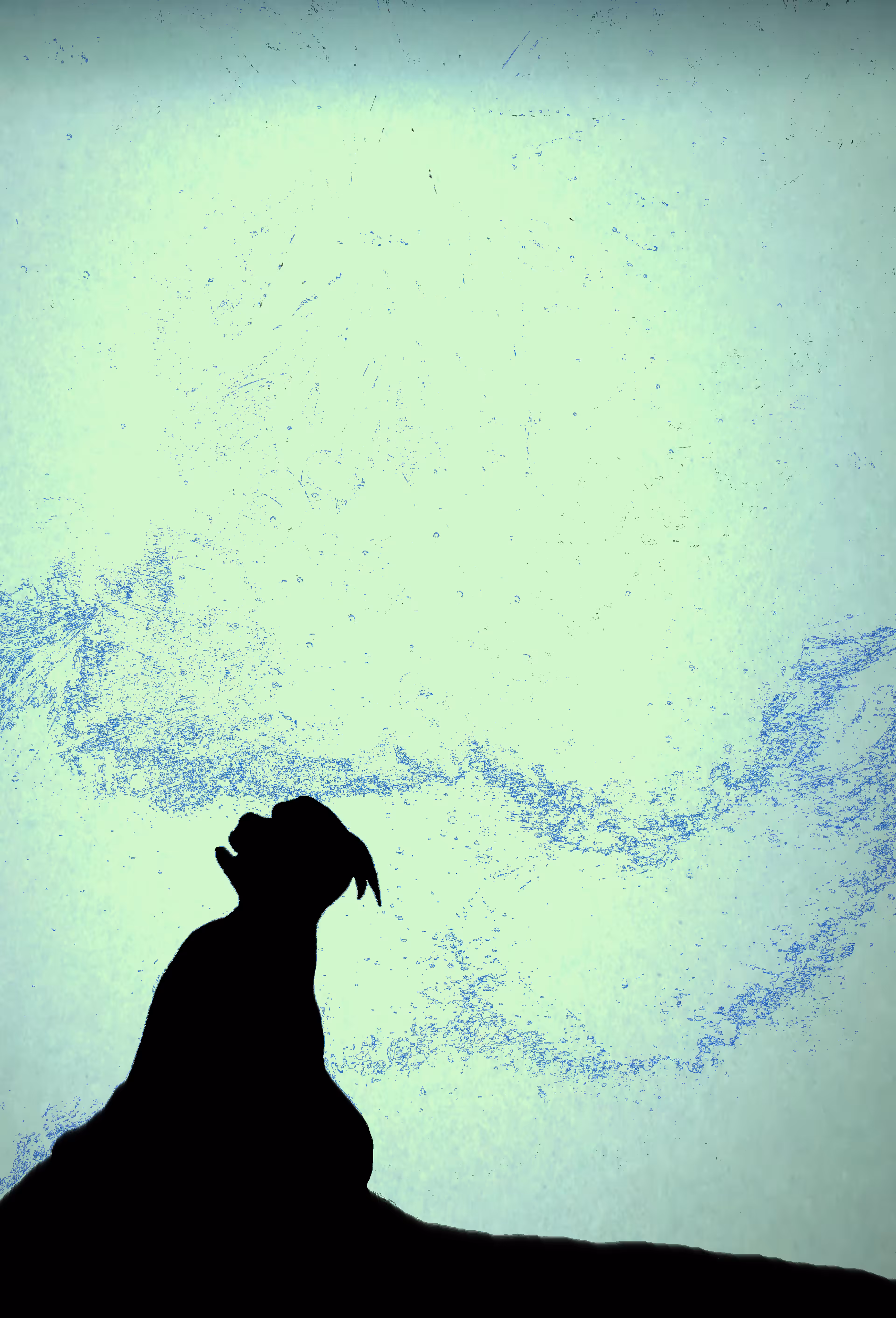 Susie Sits Under The Bright Blue Stars
