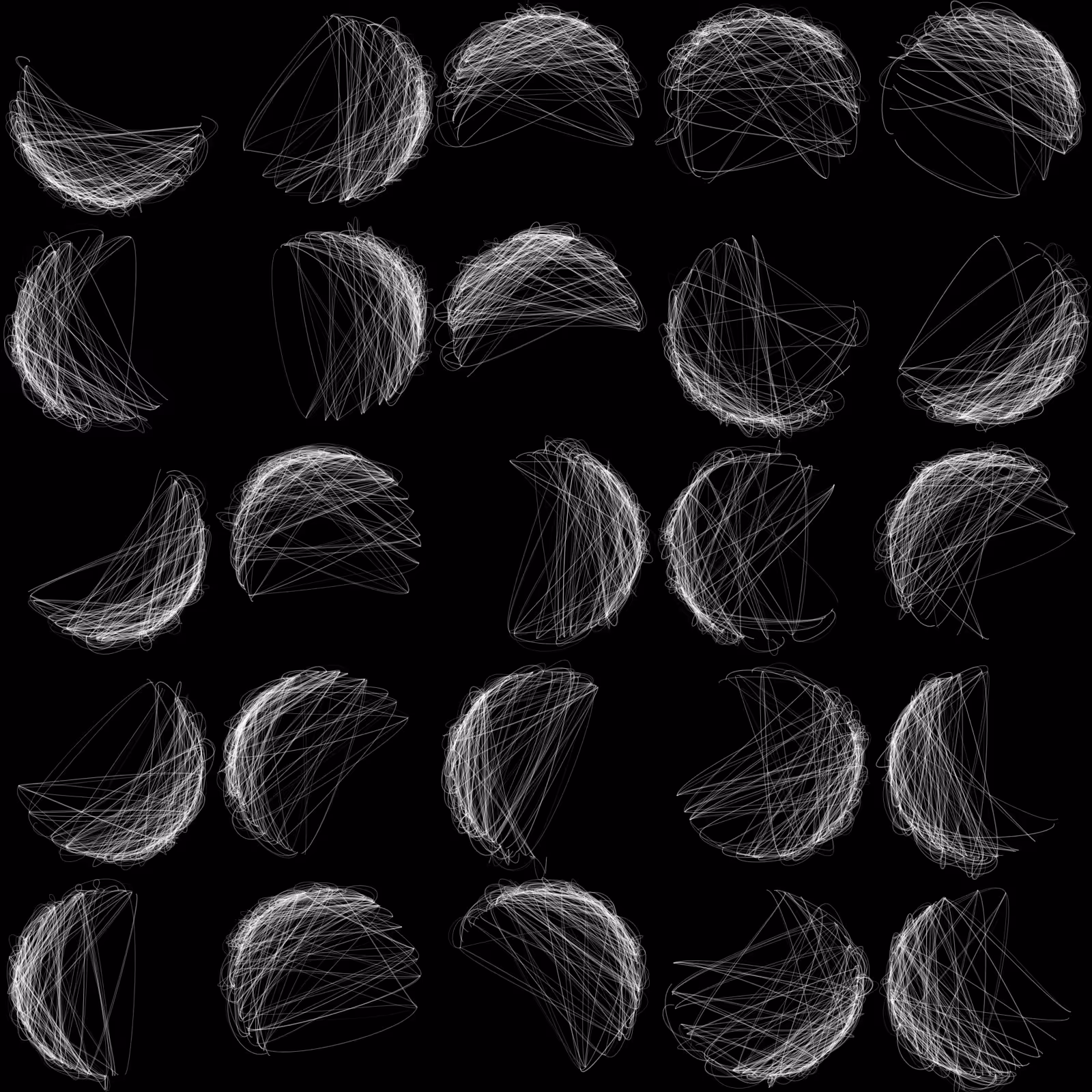 Seed 003