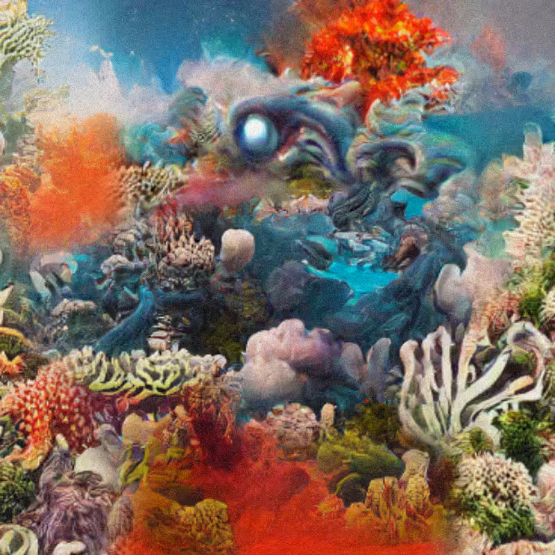 Reefs on Rewind #15