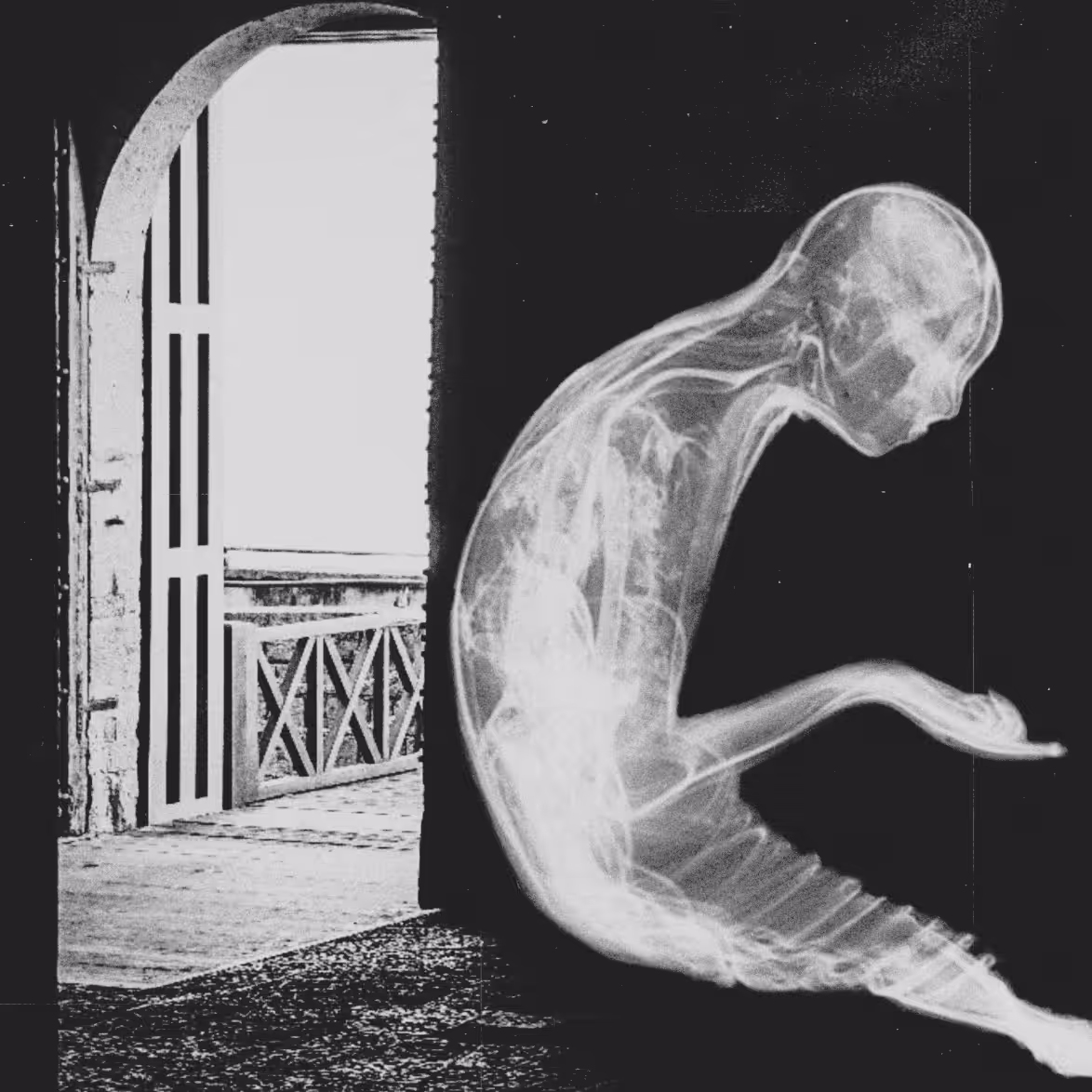 Ghost #23
