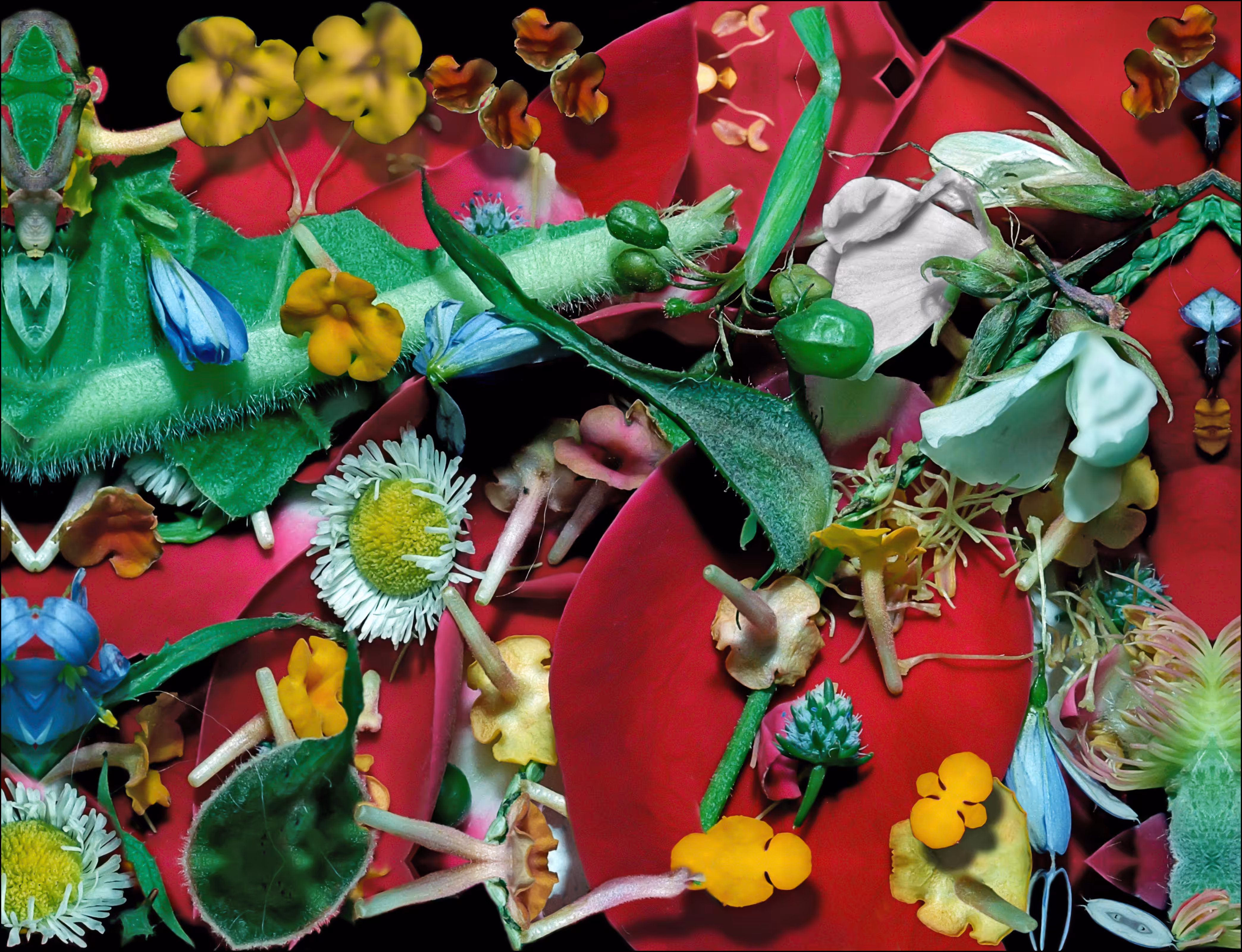 Plant Pieces 6 Version 1