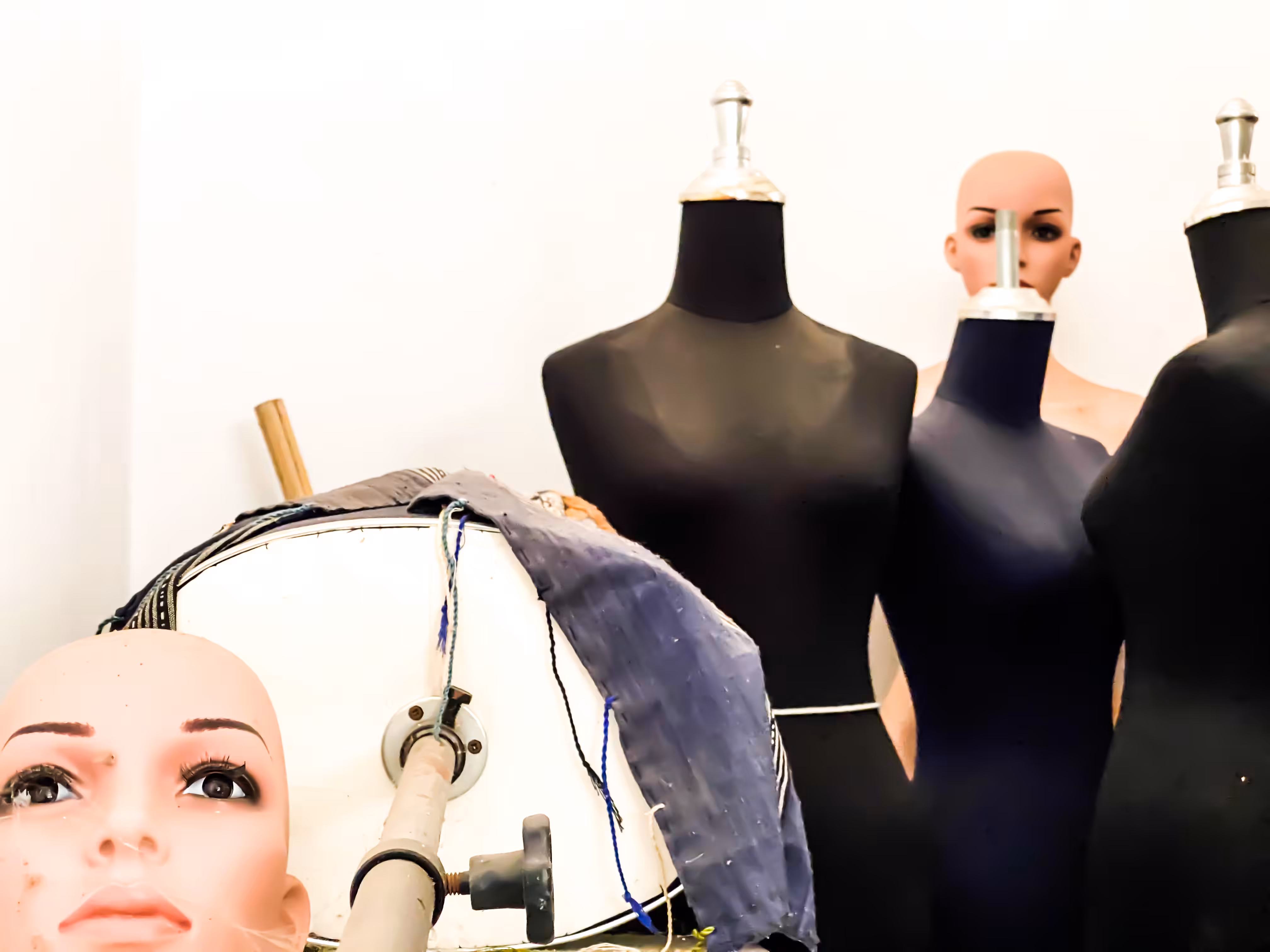 The fashion show 