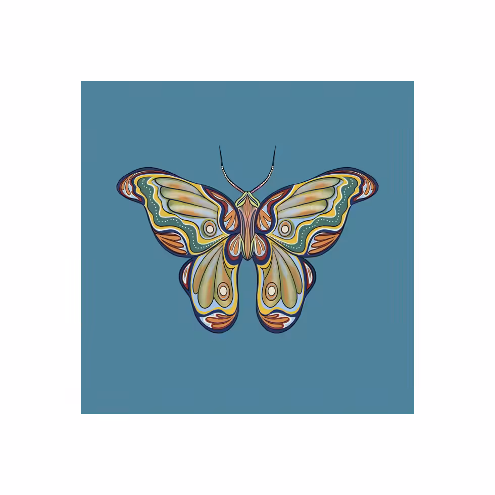 The Moth Experiment #20