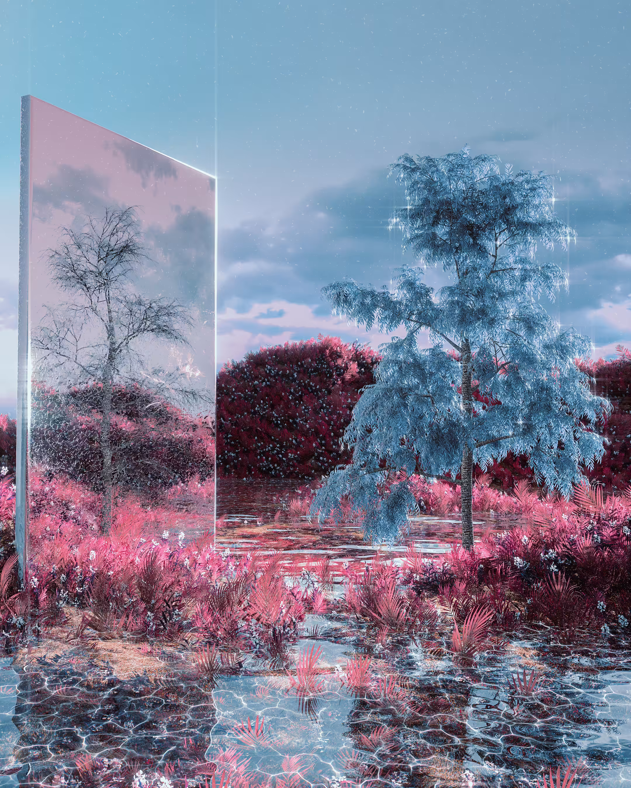 Self Reflection