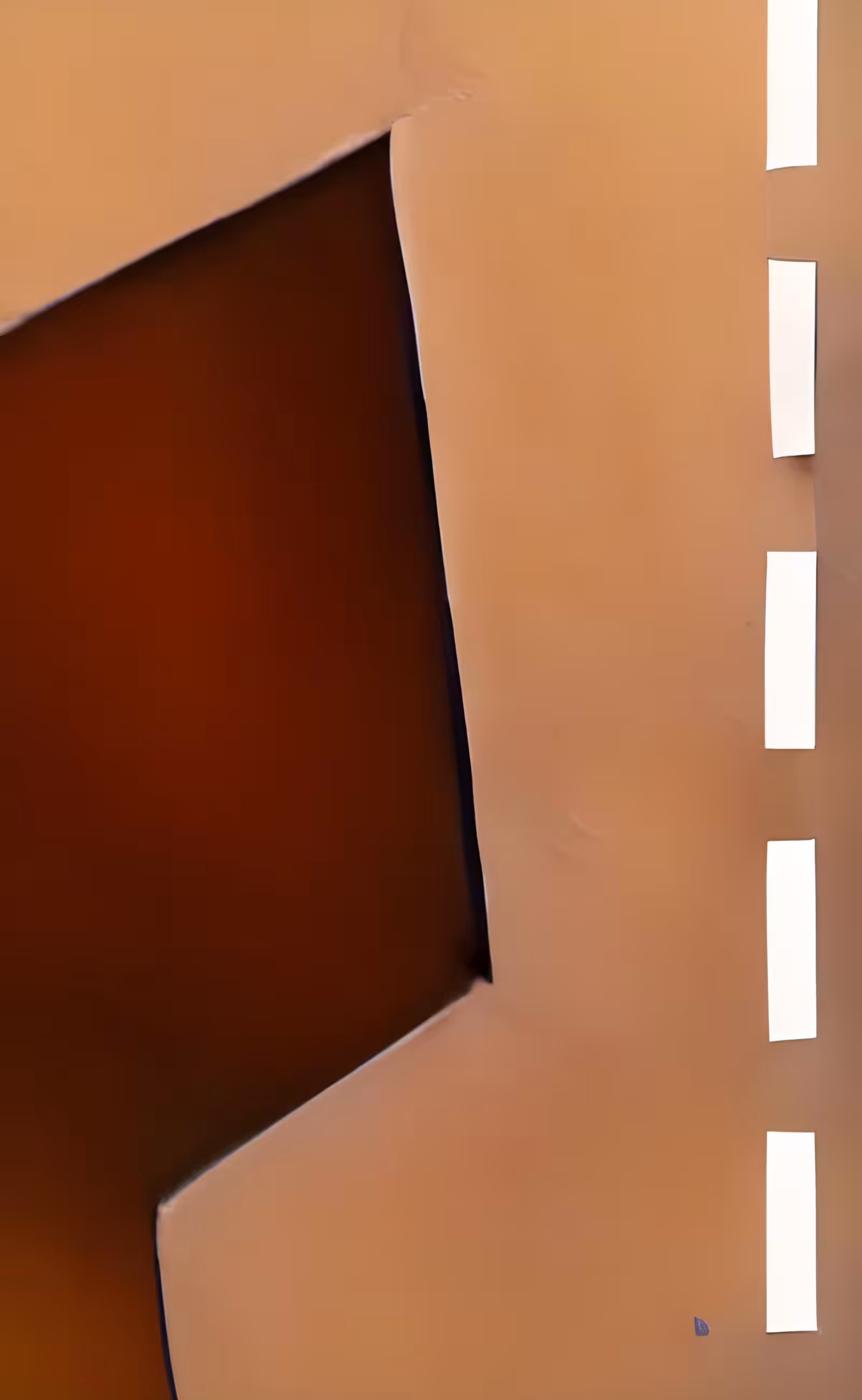 SIGHTS #64